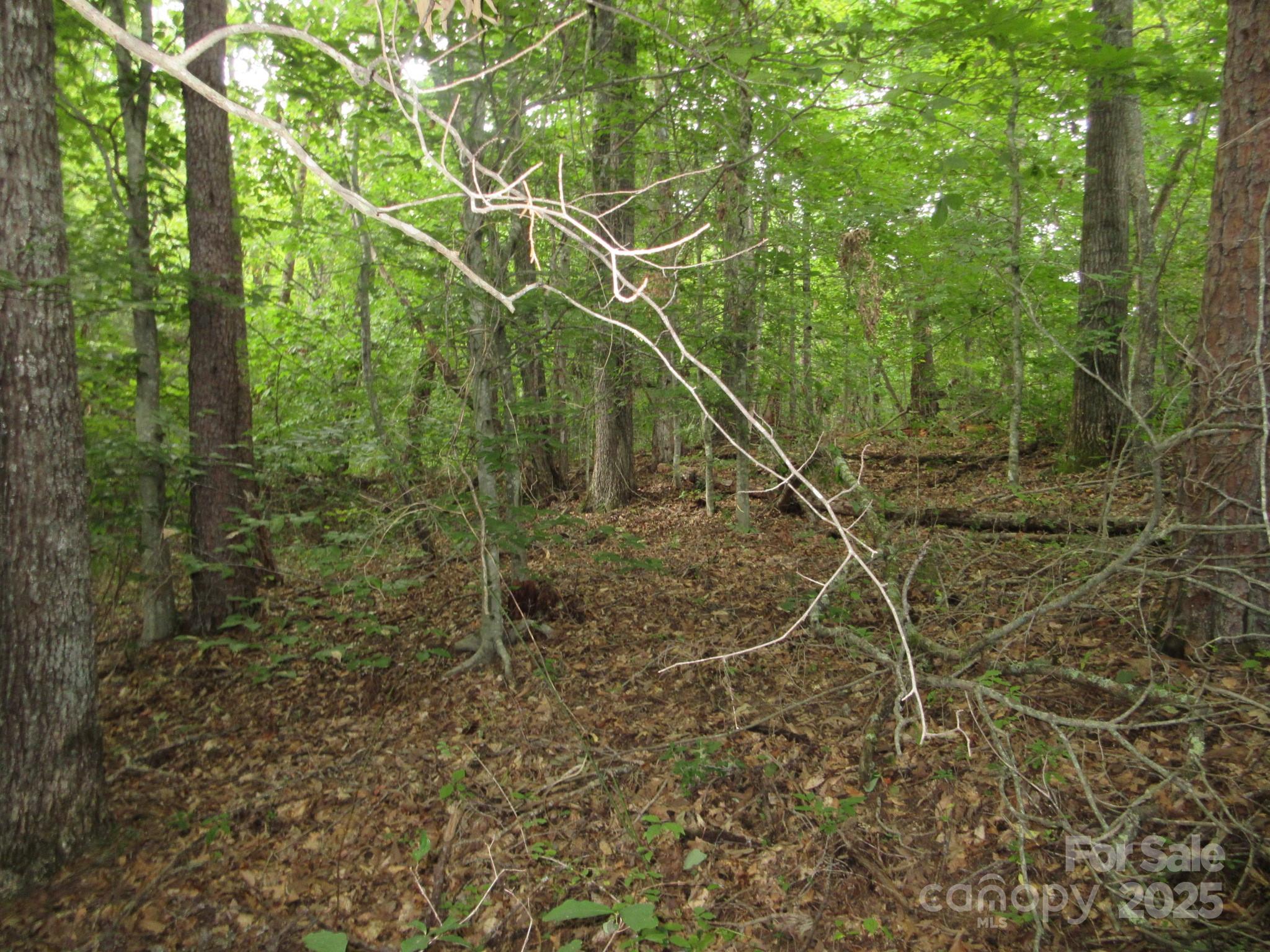 0 Old Burnsville Road Property Photo 10