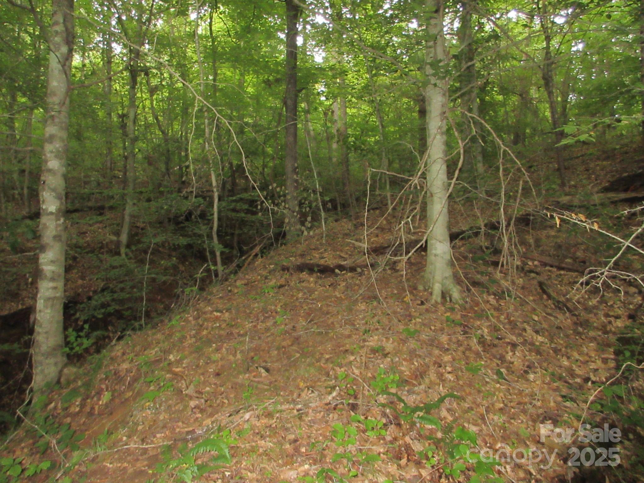 0 Old Burnsville Road Property Photo 13