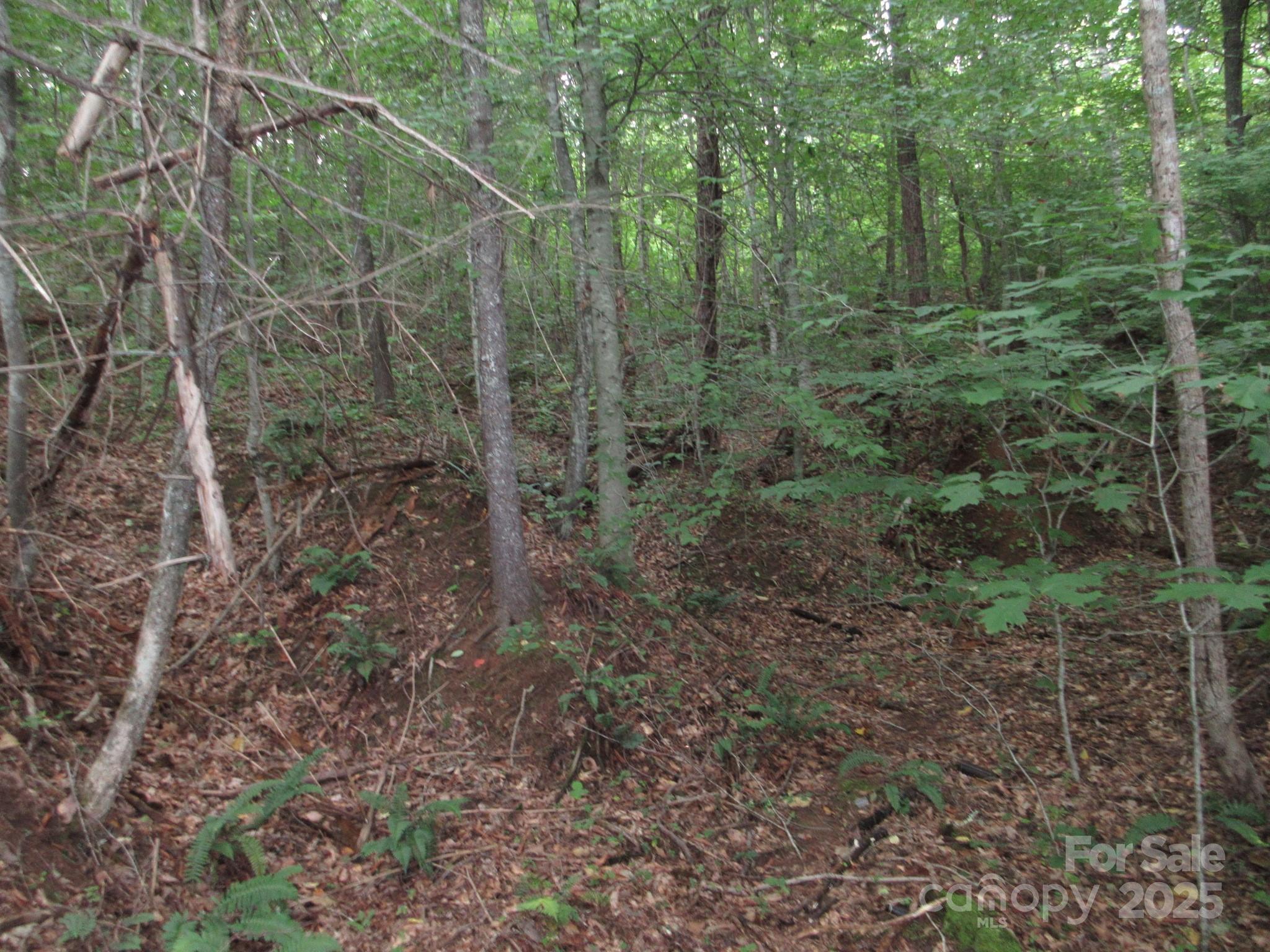 0 Old Burnsville Road Property Photo 14