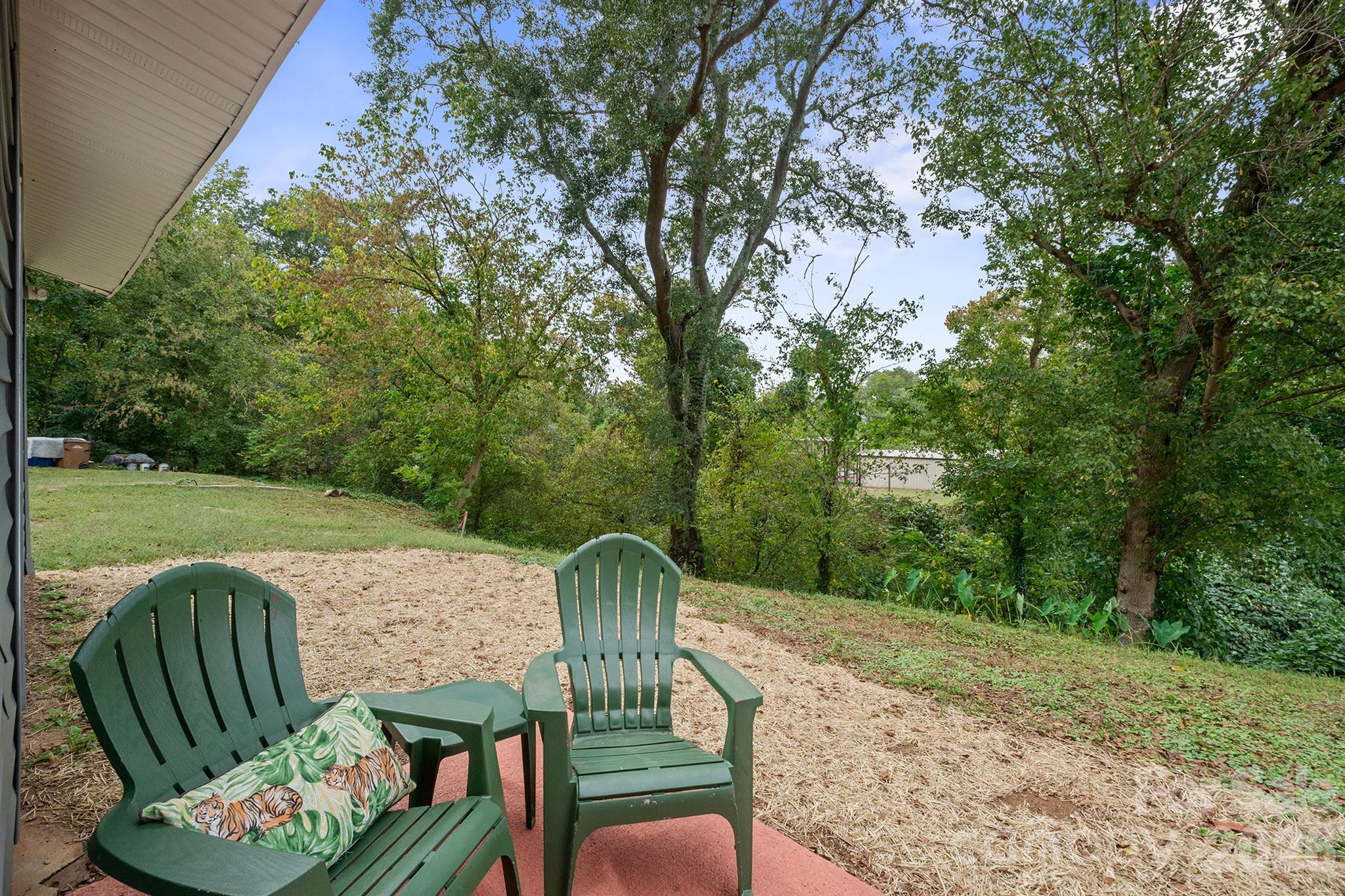 801 N Grove Street Property Photo 44