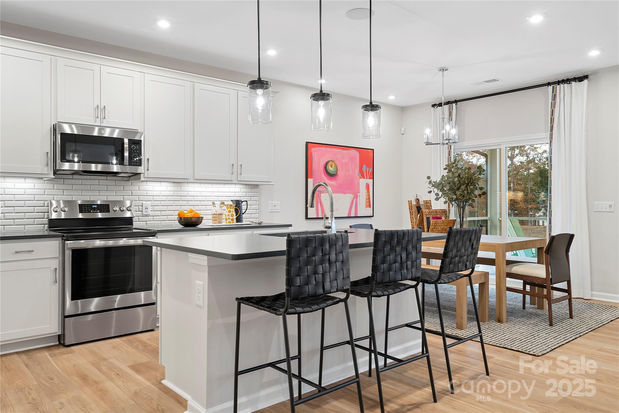 4123 Roe Creek Drive Property Photo 1