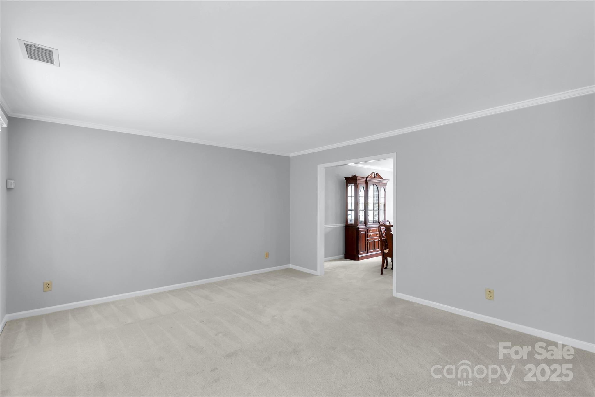 1401 Matthews Plantation Drive Property Photo 17