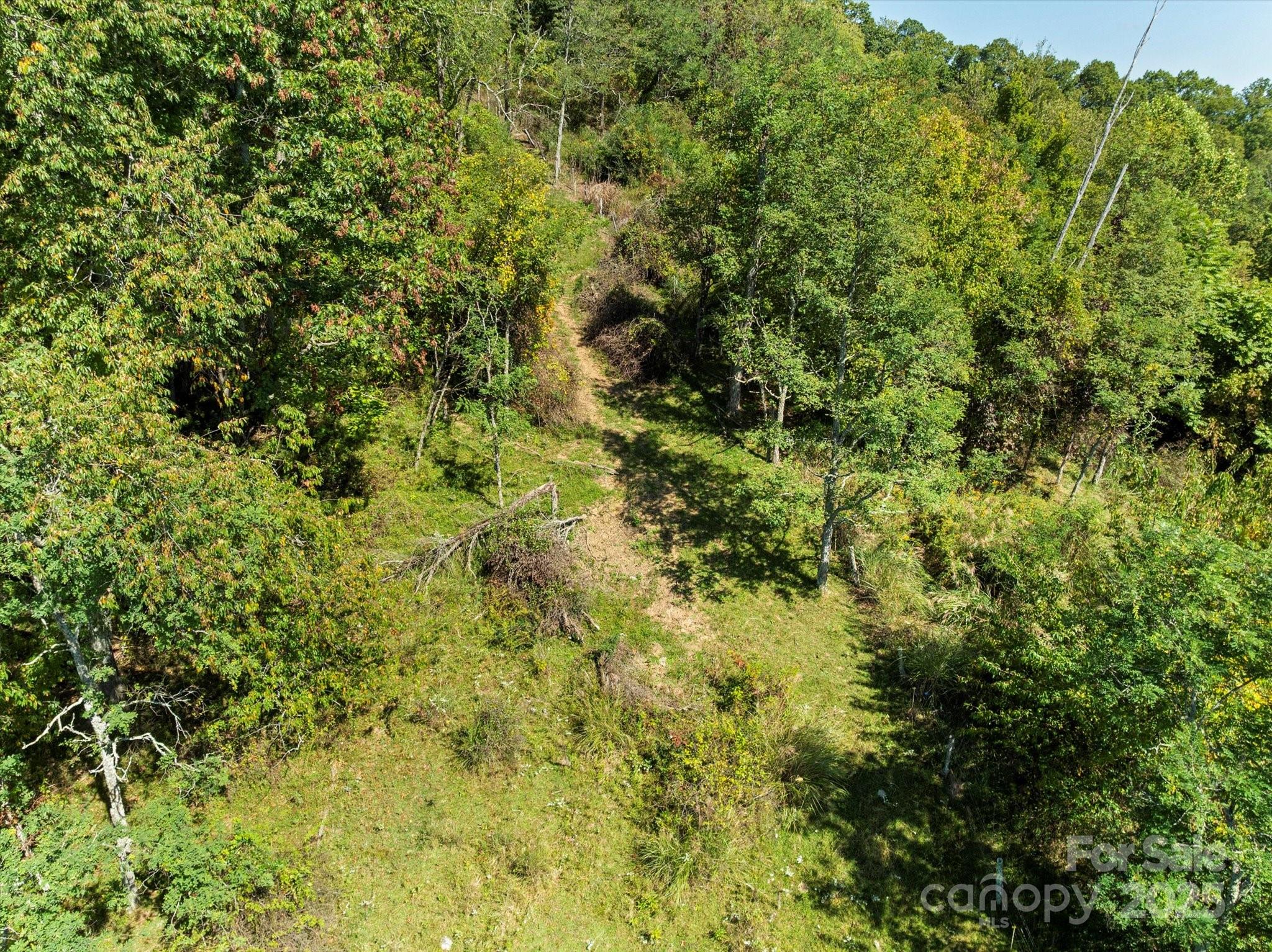 1623 Ammons Branch Road Property Photo 13