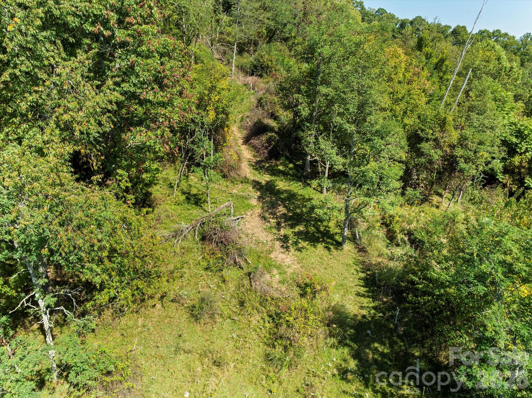 1623 Ammons Branch Road Property Photo 13