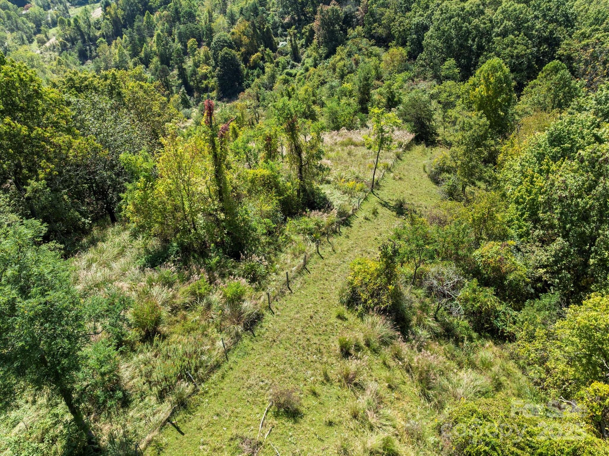 1623 Ammons Branch Road Property Photo 14