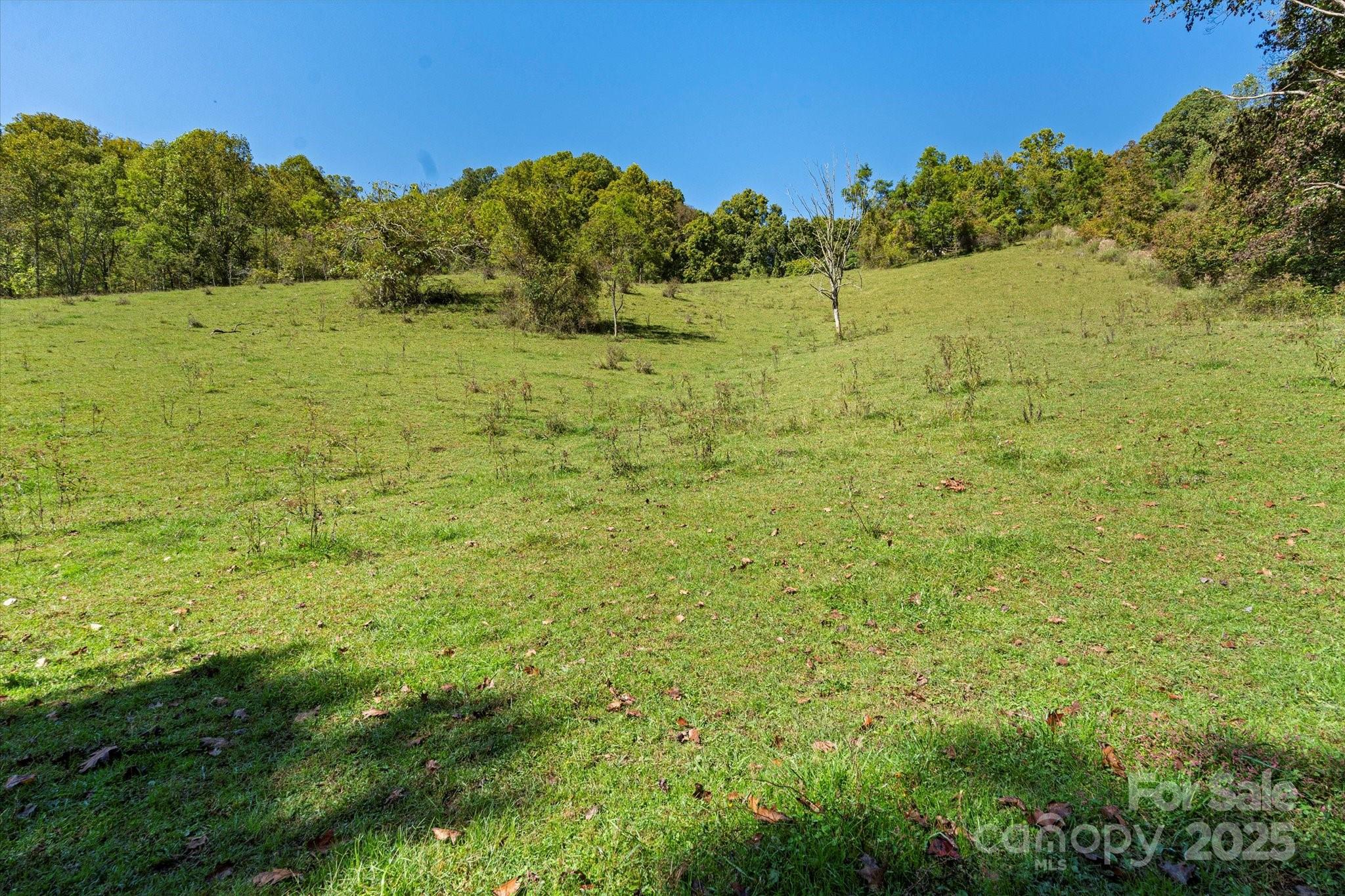 1623 Ammons Branch Road Property Photo 15