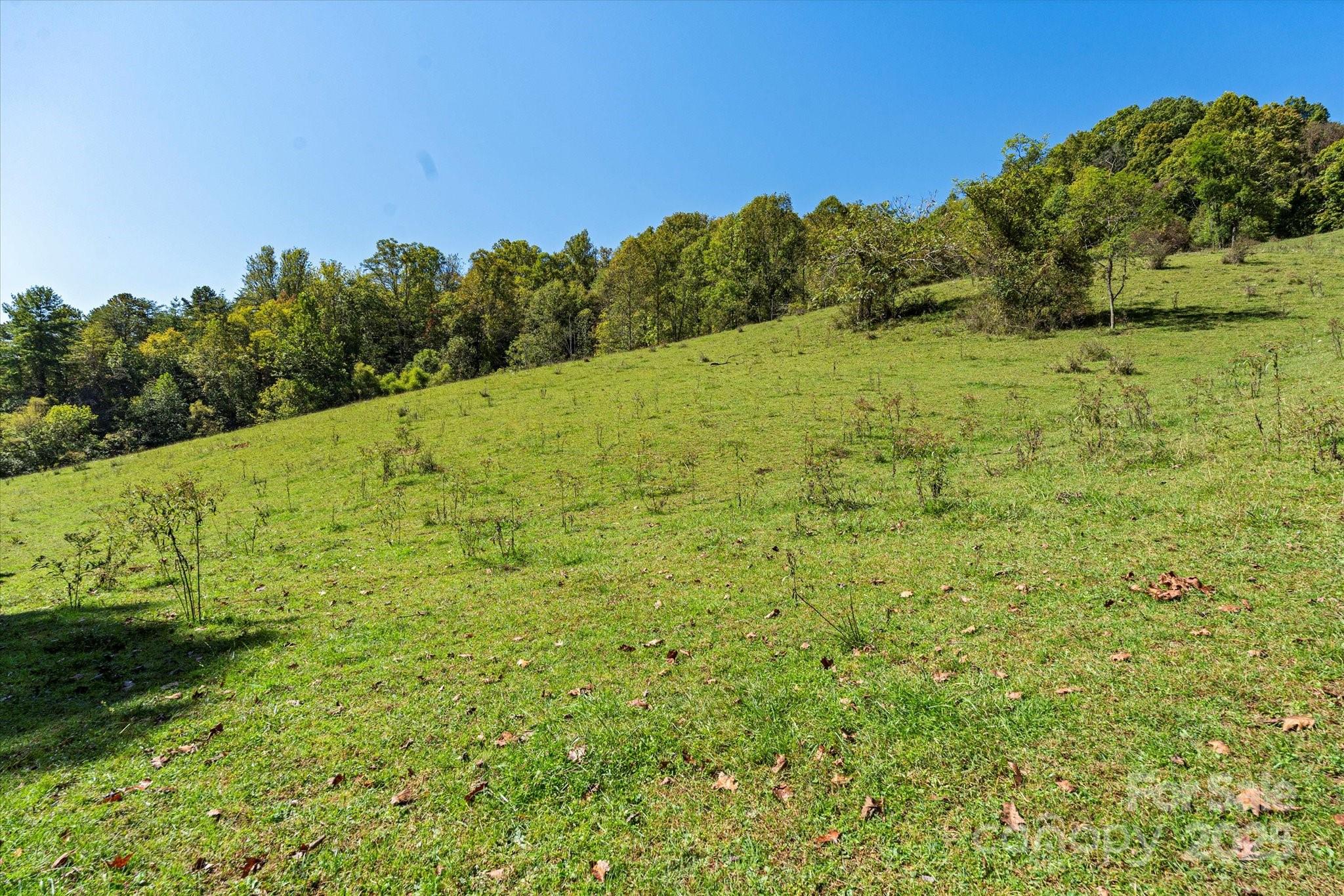 1623 Ammons Branch Road Property Photo 16