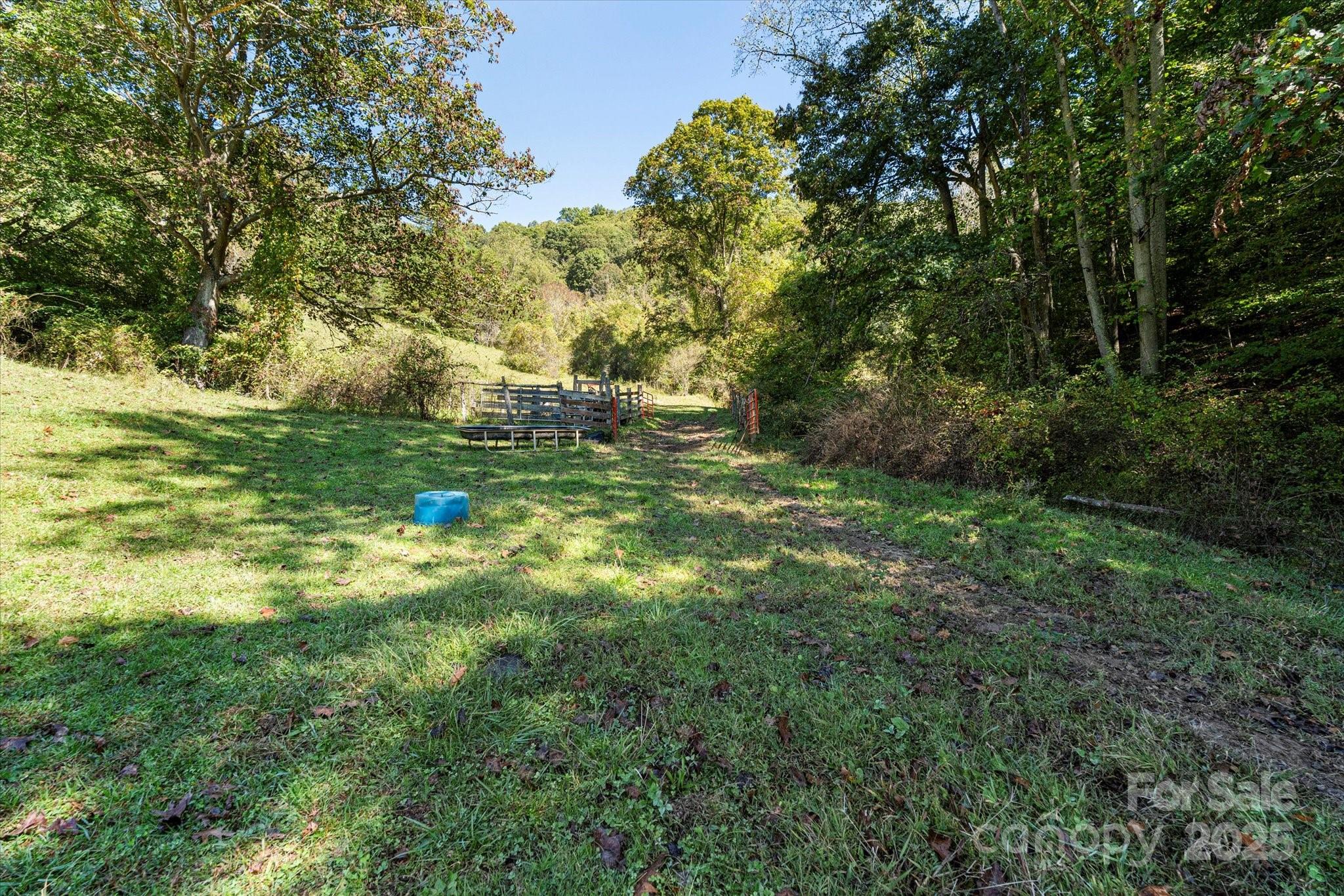 1623 Ammons Branch Road Property Photo 17