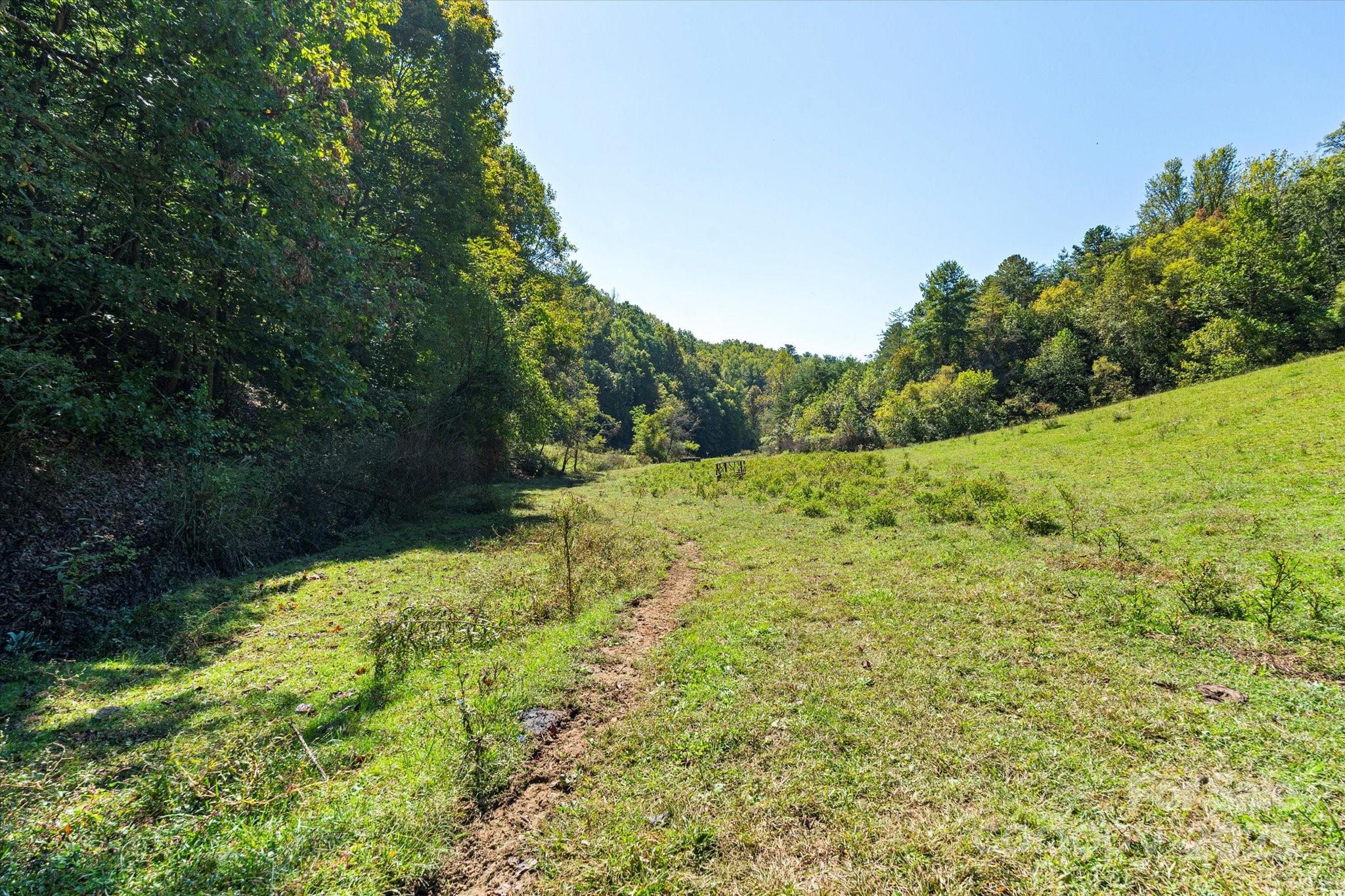 1623 Ammons Branch Road Property Photo 18