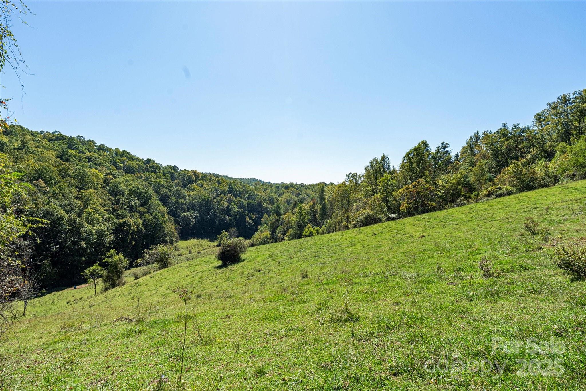 1623 Ammons Branch Road Property Photo 19