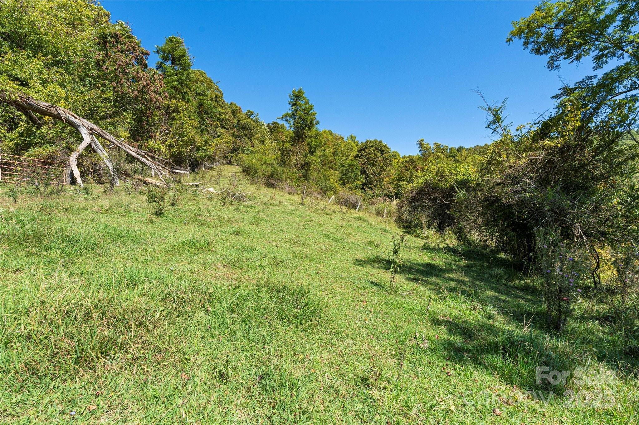 1623 Ammons Branch Road Property Photo 20