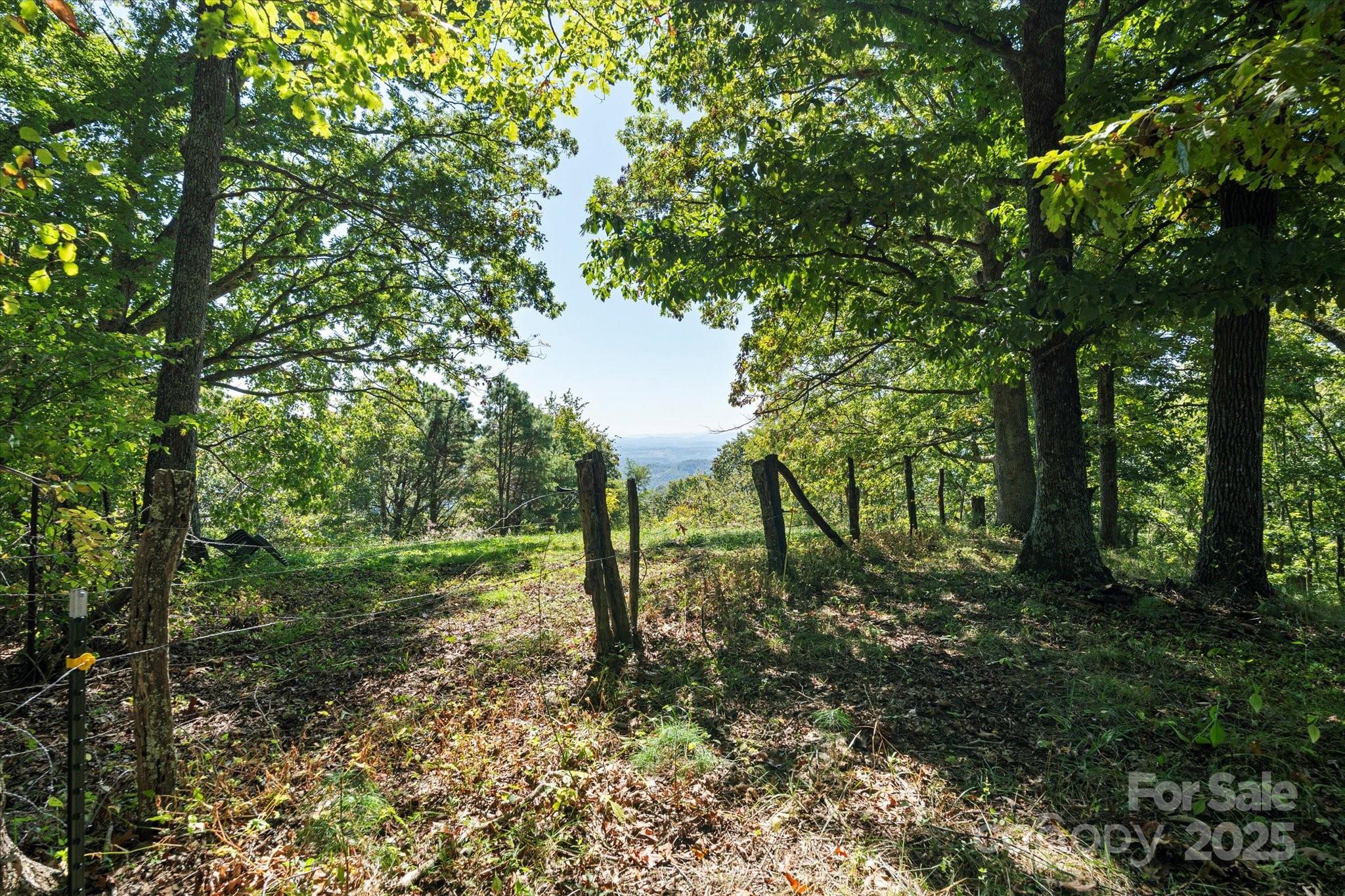 1623 Ammons Branch Road Property Photo 21