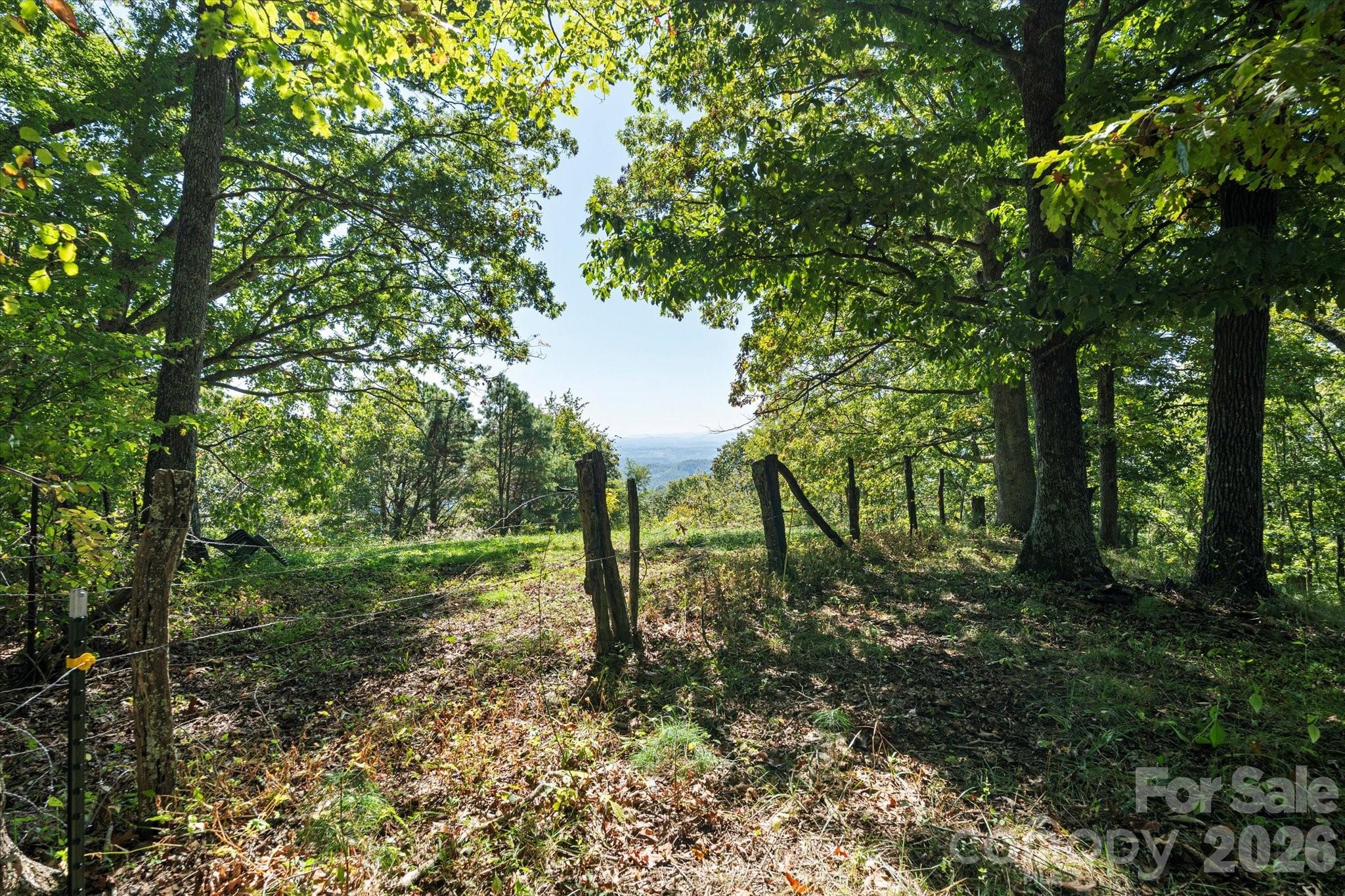 1623 Ammons Branch Road Property Photo 21