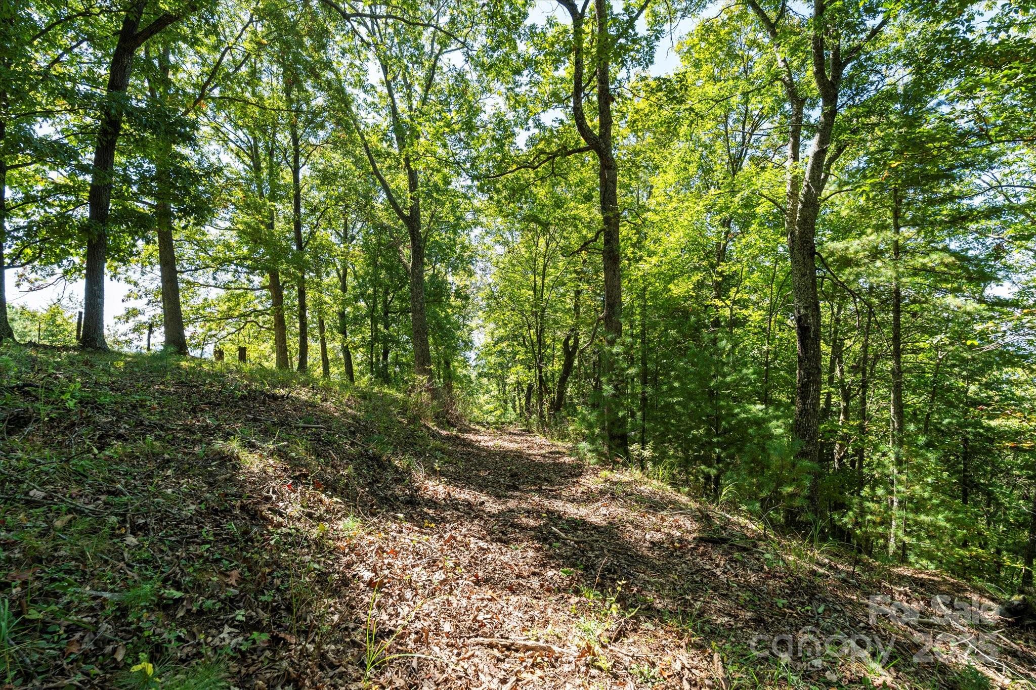 1623 Ammons Branch Road Property Photo 23