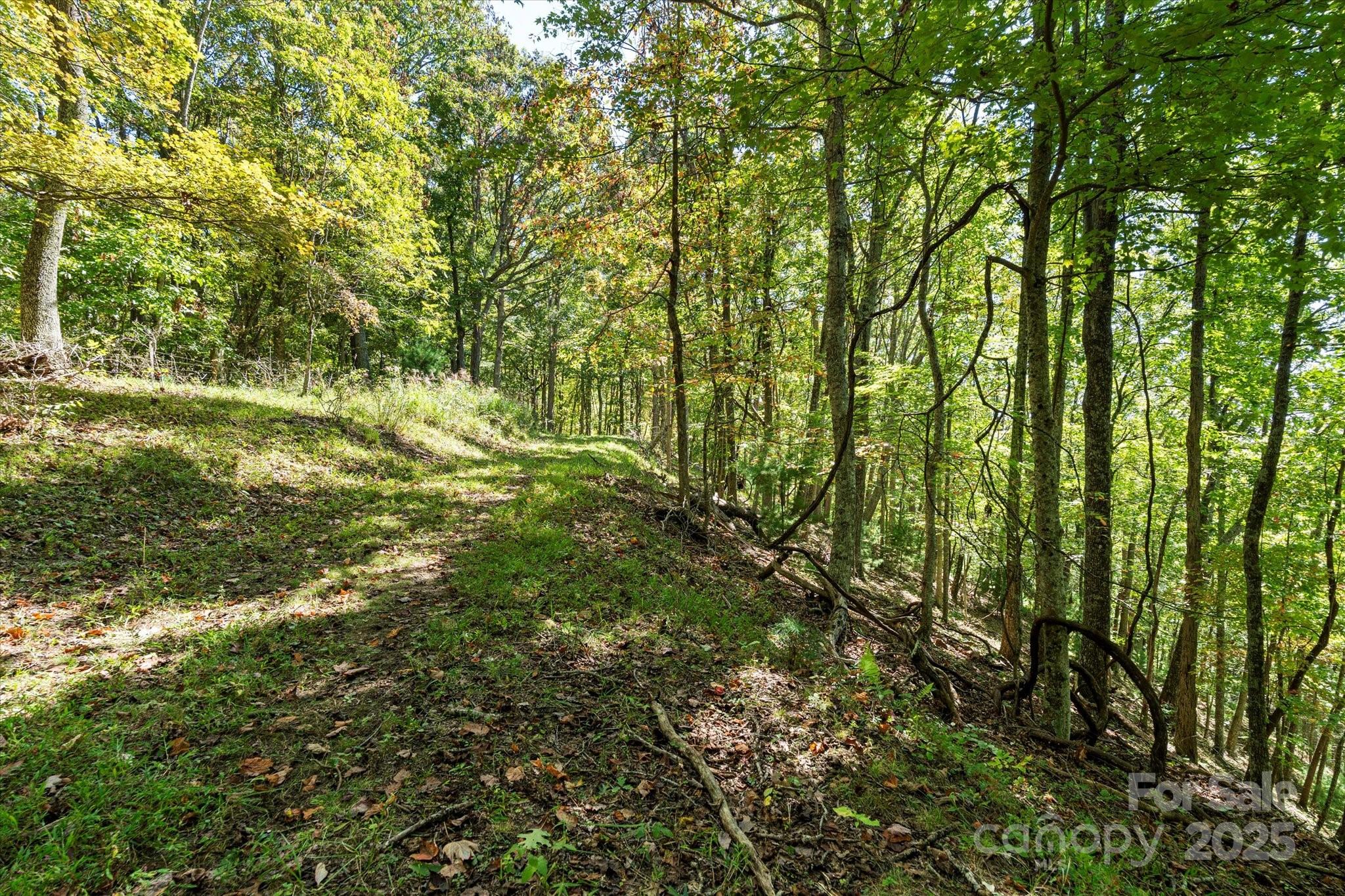 1623 Ammons Branch Road Property Photo 25