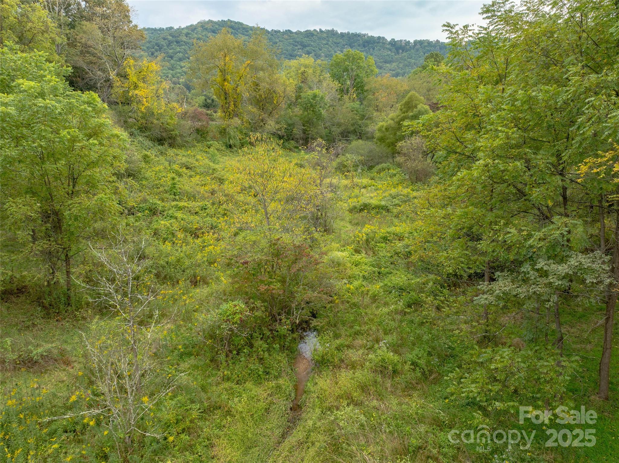 99999 Old Clyde Road Property Photo 6