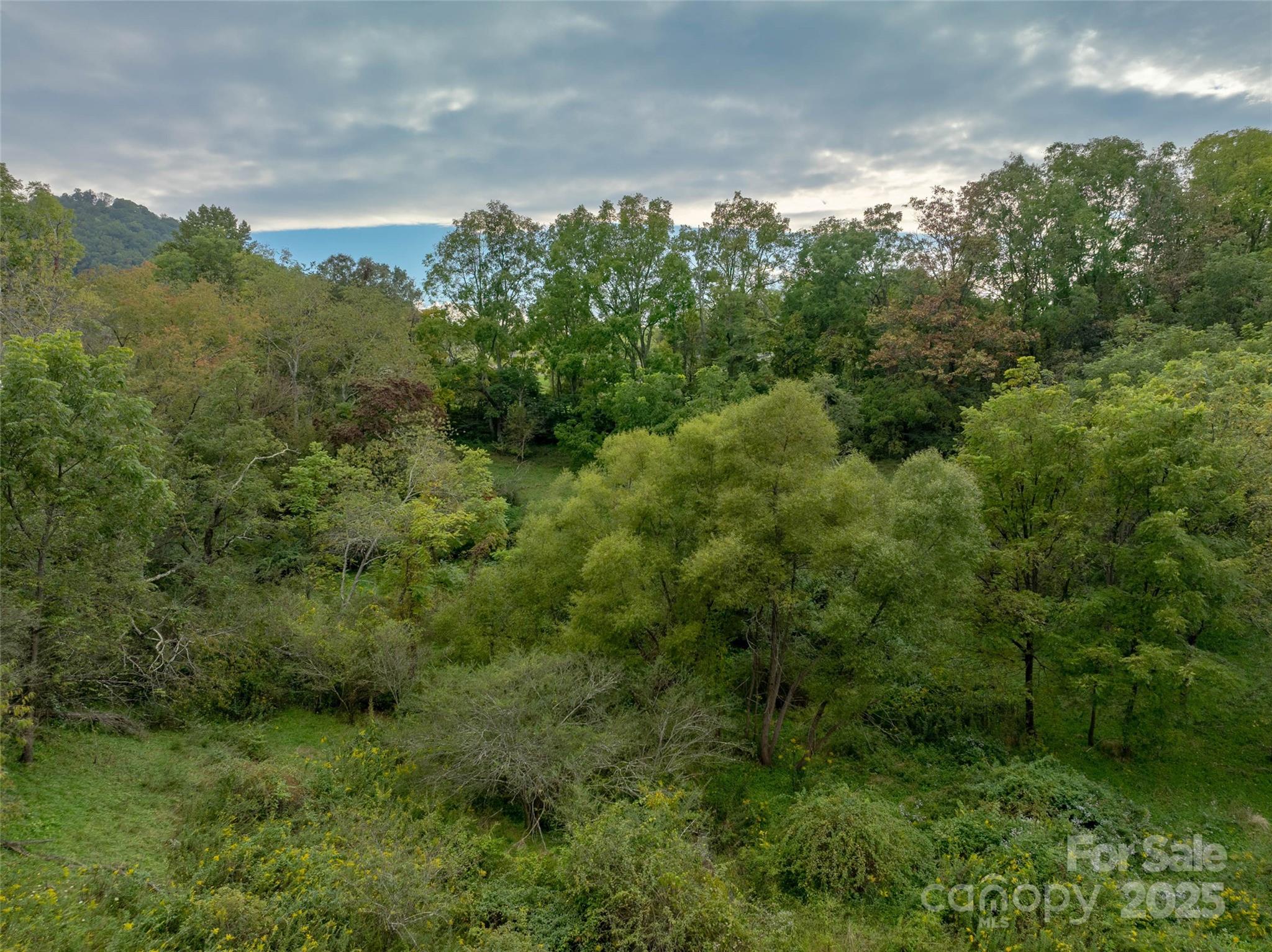 99999 Old Clyde Road Property Photo 7