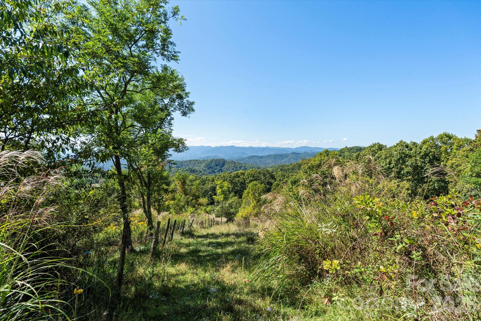 1623 Ammons Branch Road Property Photo 2