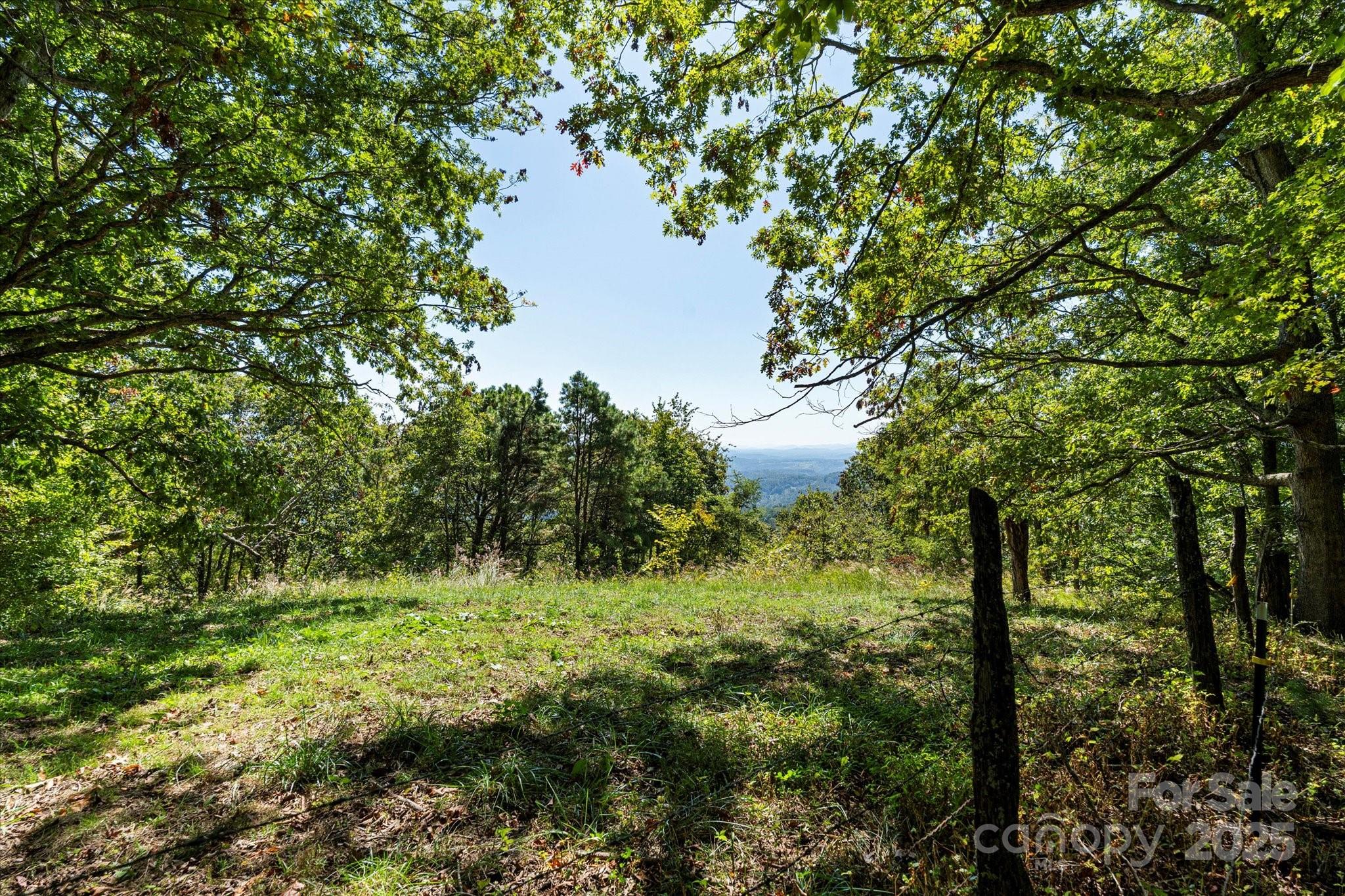 1623 Ammons Branch Road Property Photo 7