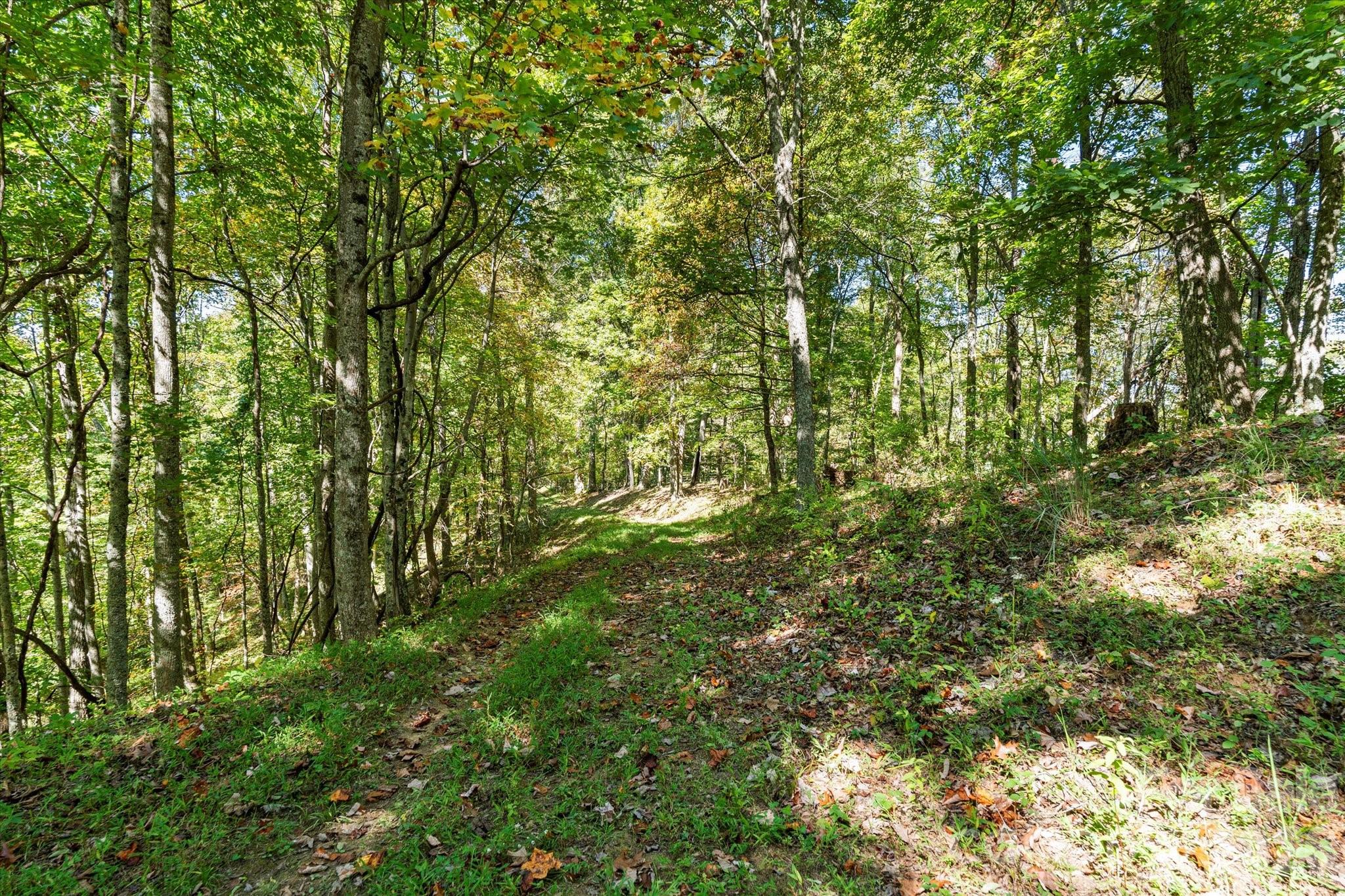 1623 Ammons Branch Road Property Photo 11