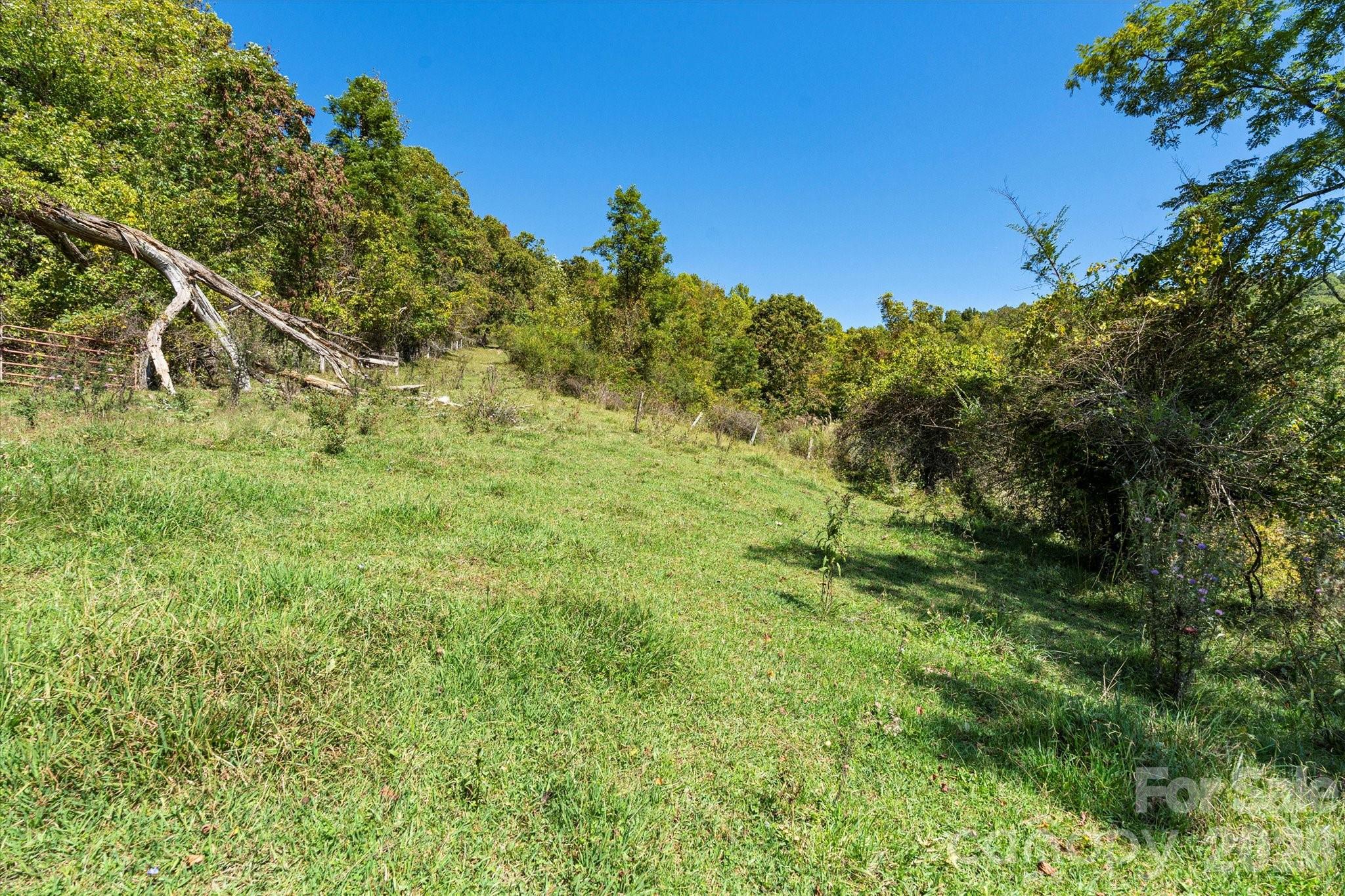 1623 Ammons Branch Road Property Photo 14