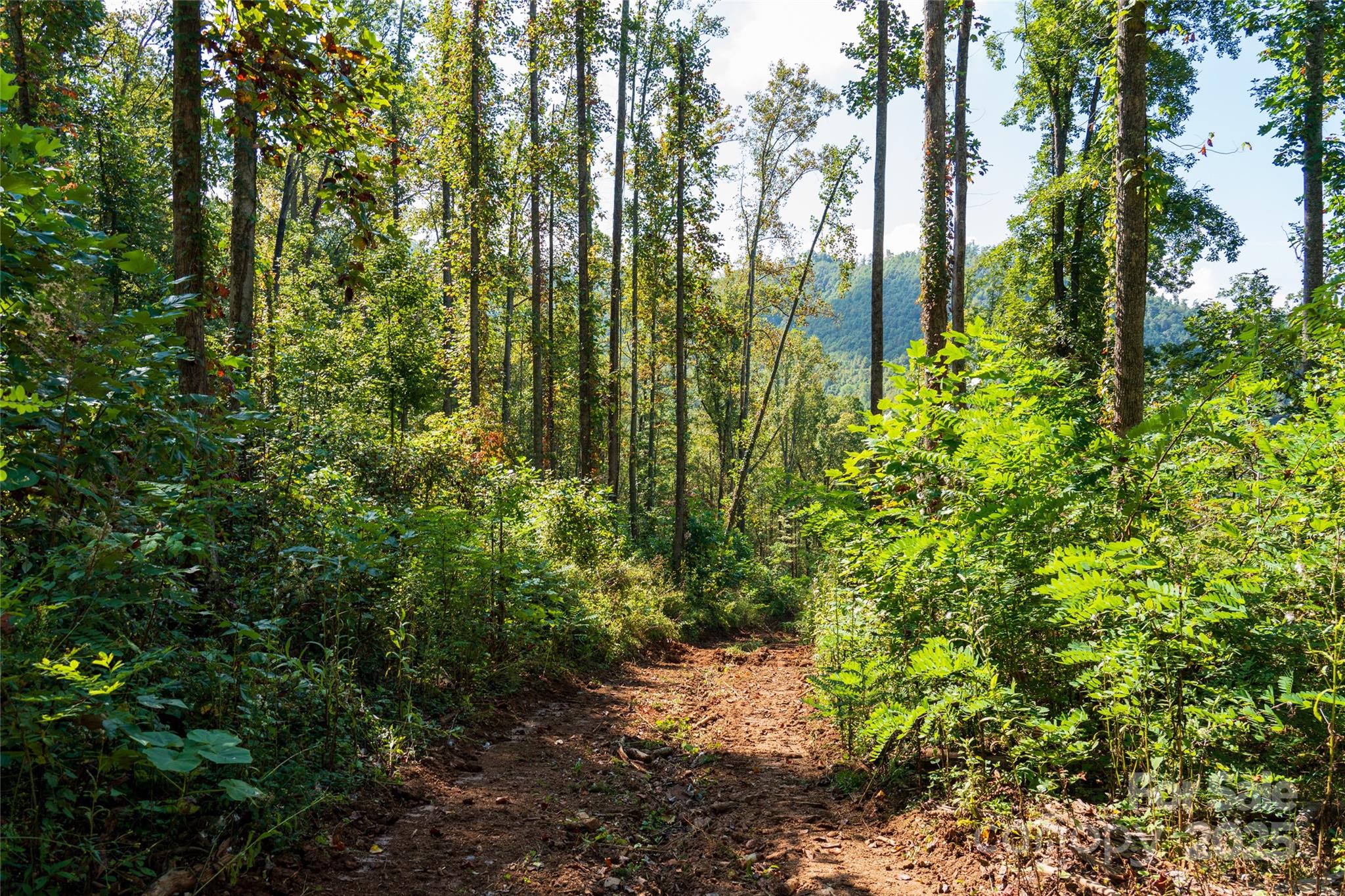 00 E Cope Creek Road Property Photo 9