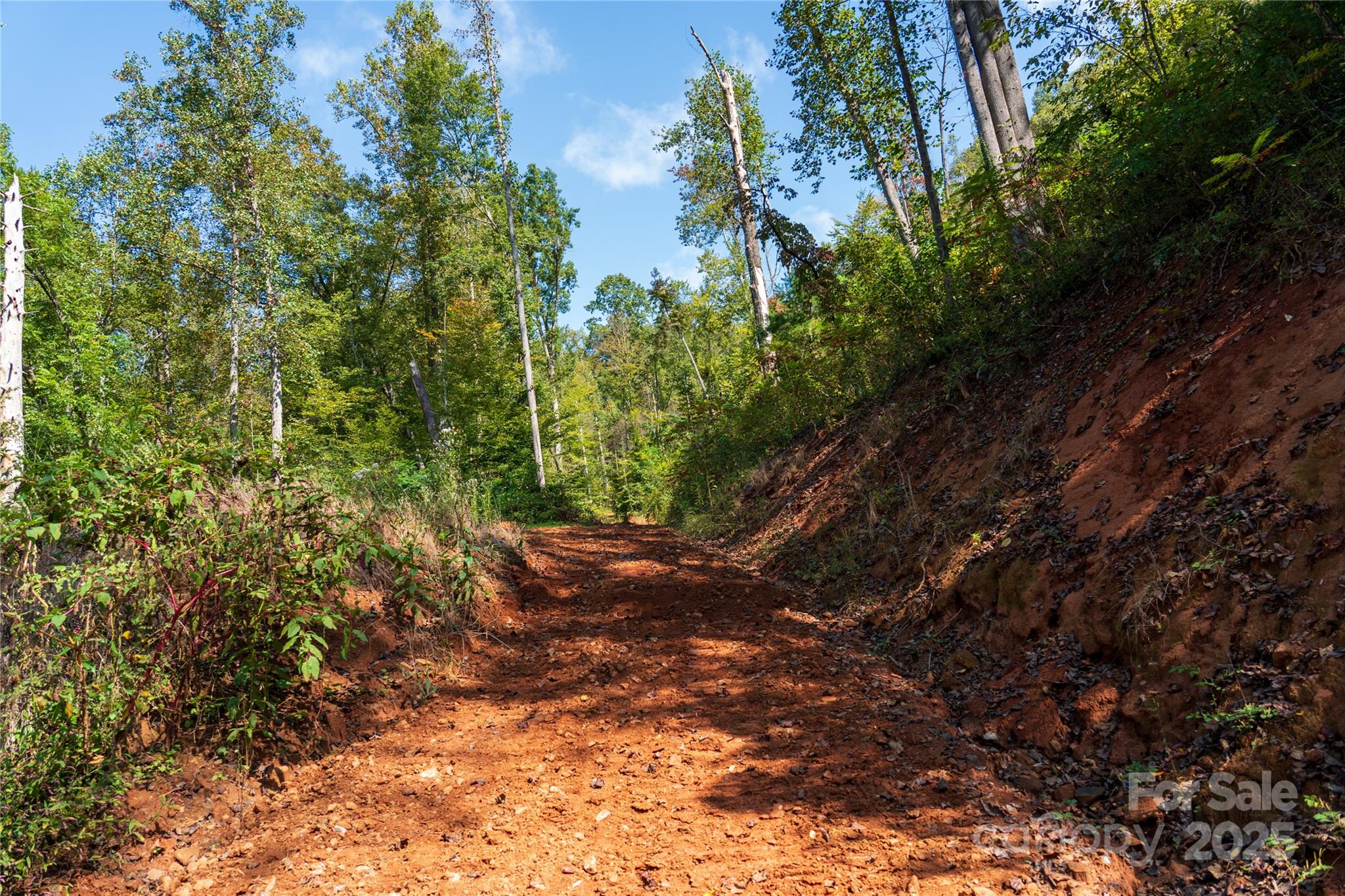 00 E Cope Creek Road Property Photo 10
