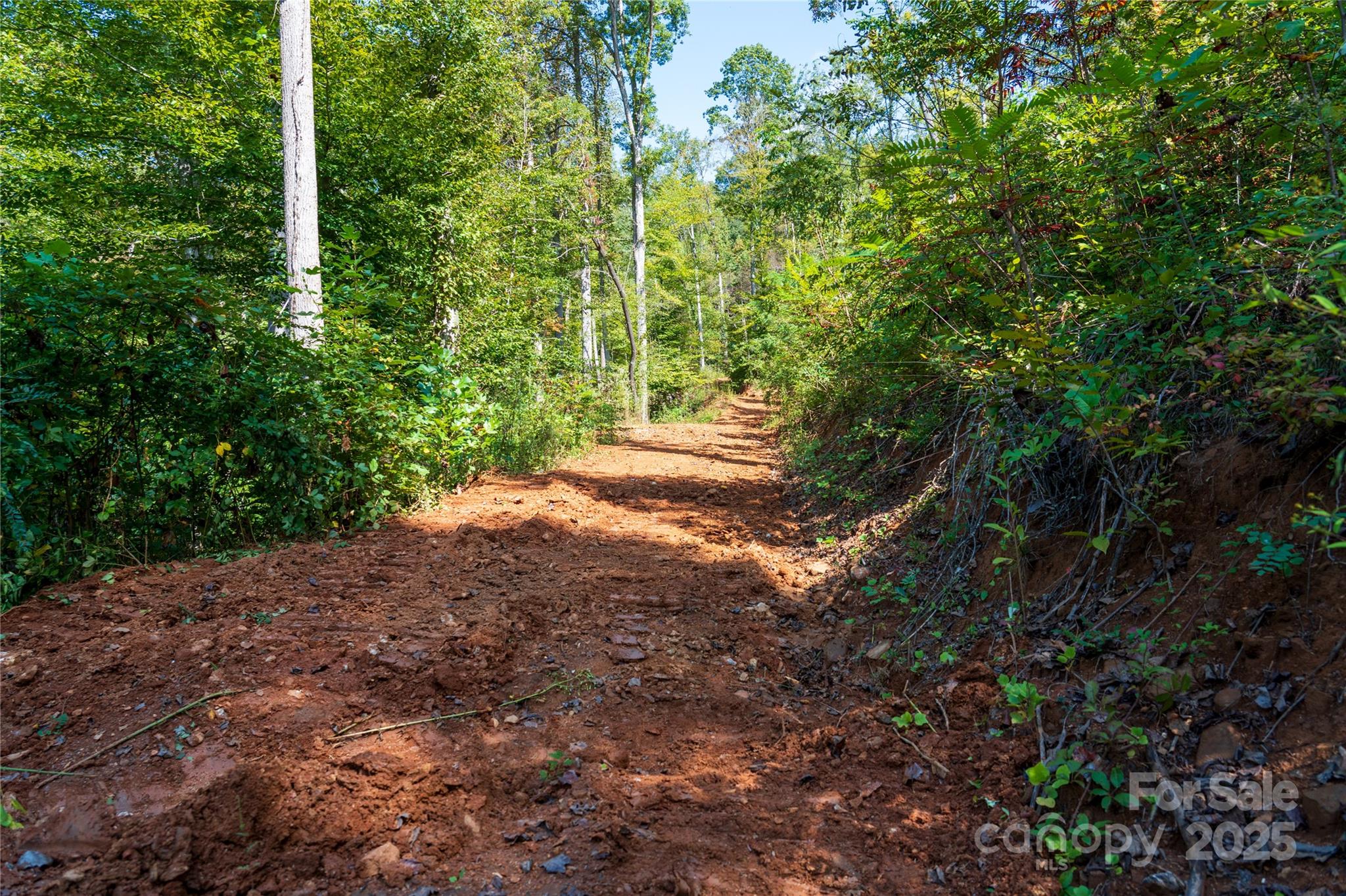 00 E Cope Creek Road Property Photo 11