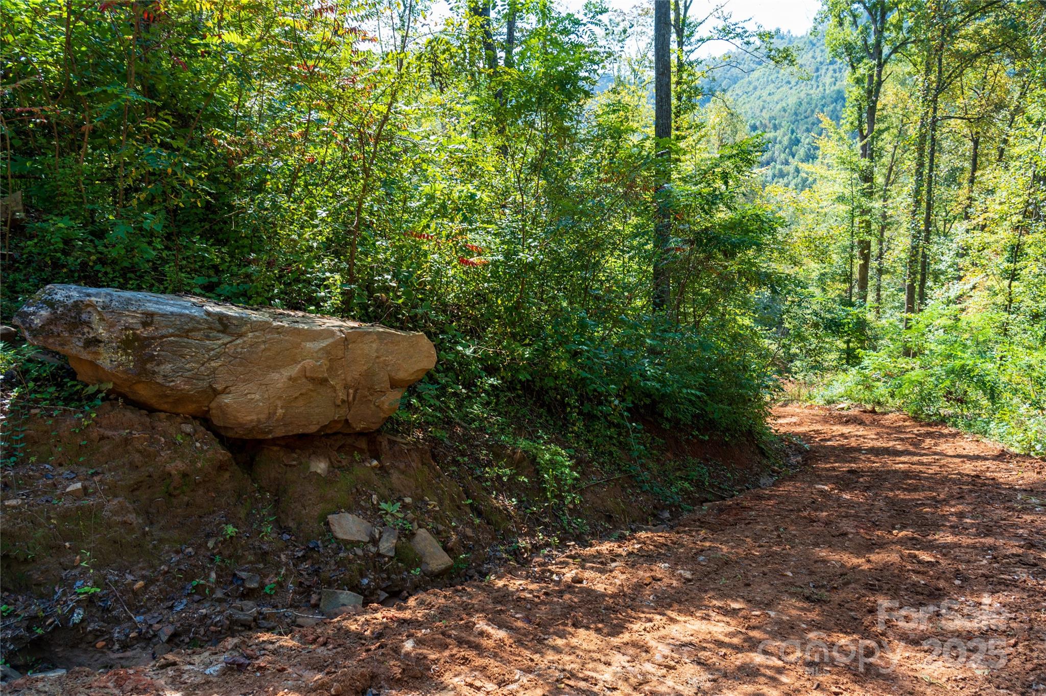 00 E Cope Creek Road Property Photo 17