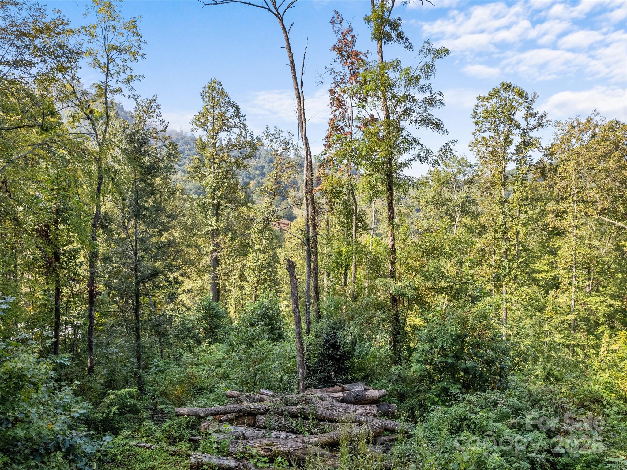 00 E Cope Creek Road Property Photo 20