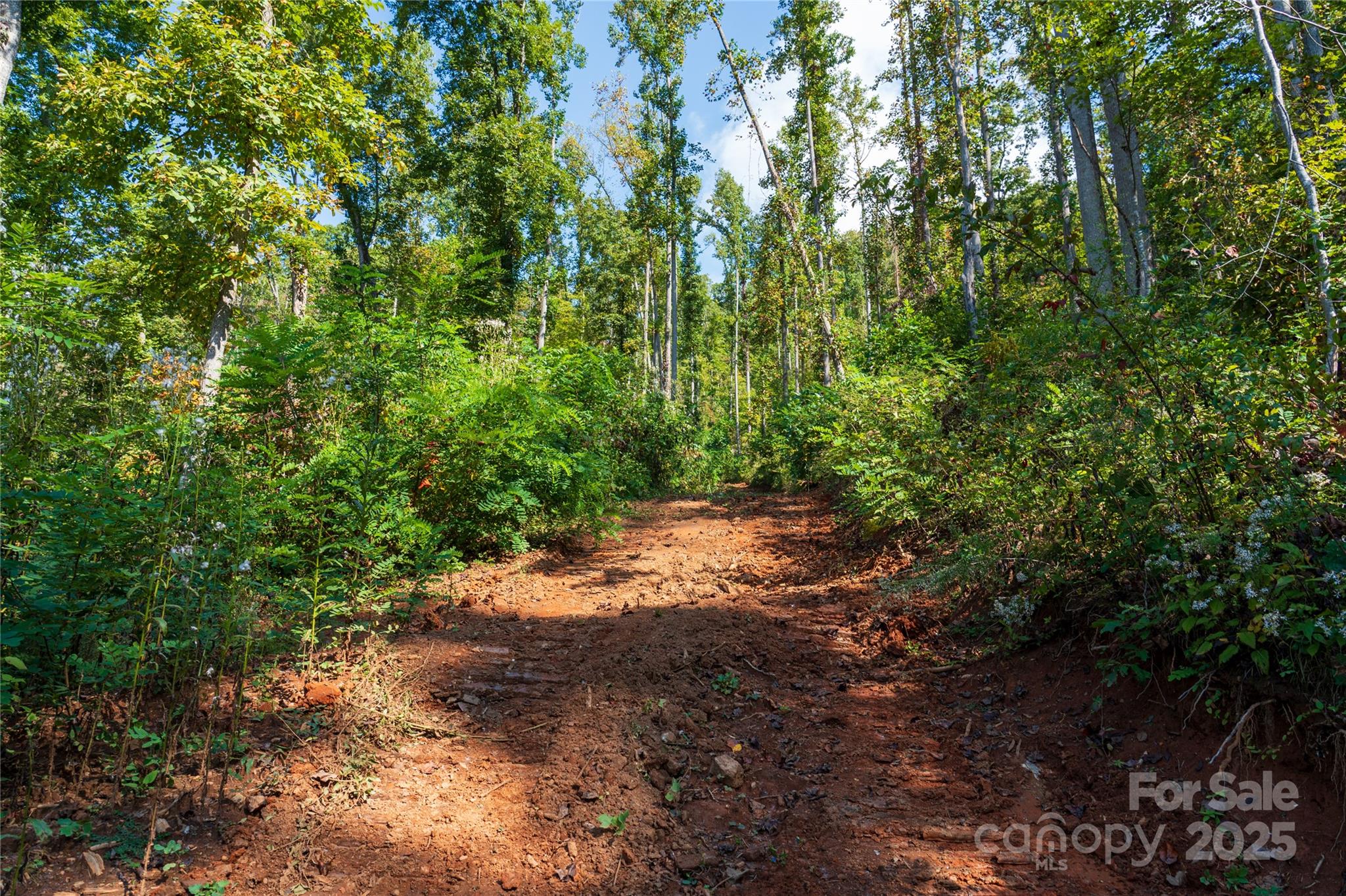00 E Cope Creek Road Property Photo 21