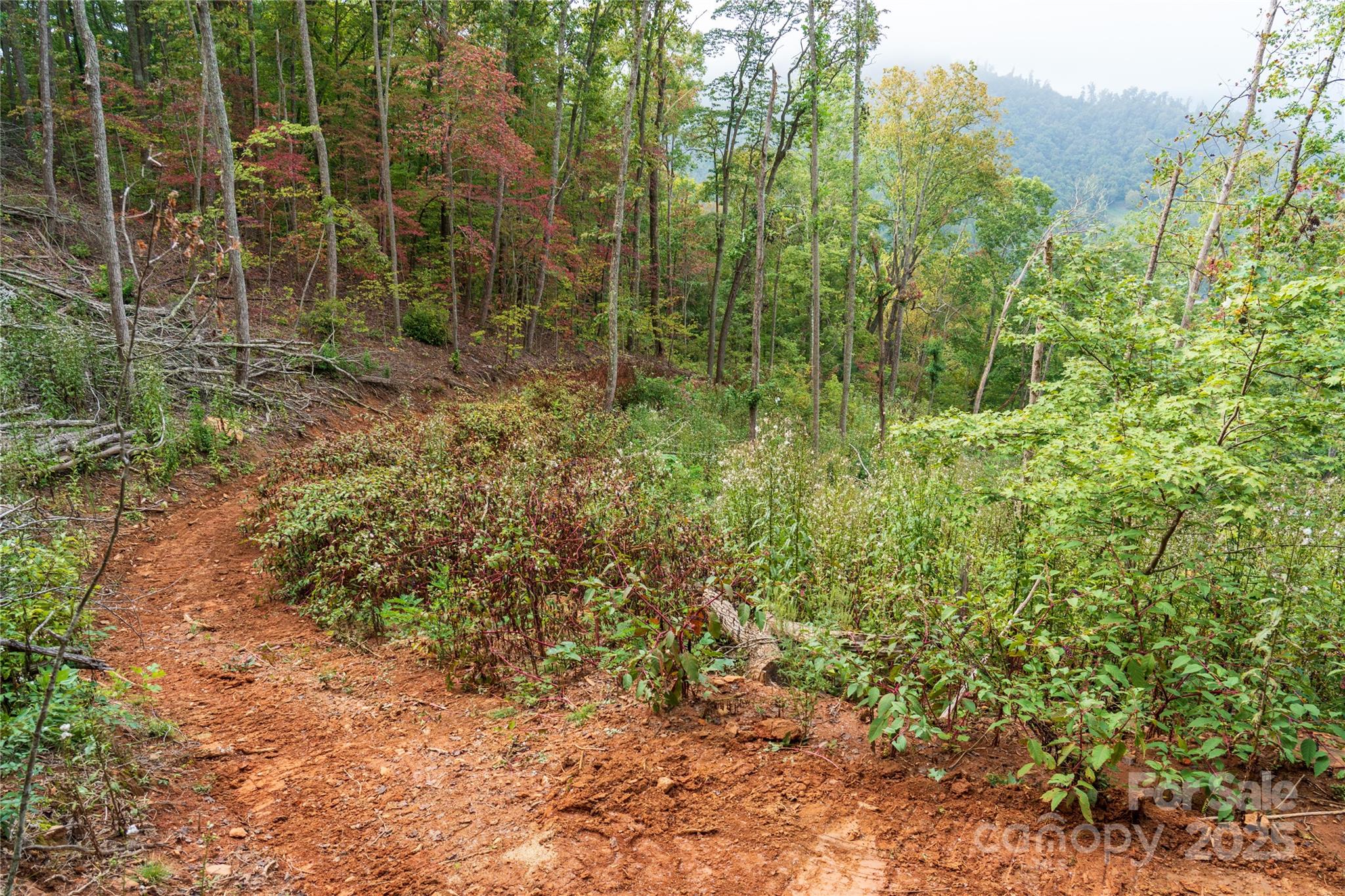 00 E Cope Creek Road Property Photo 22