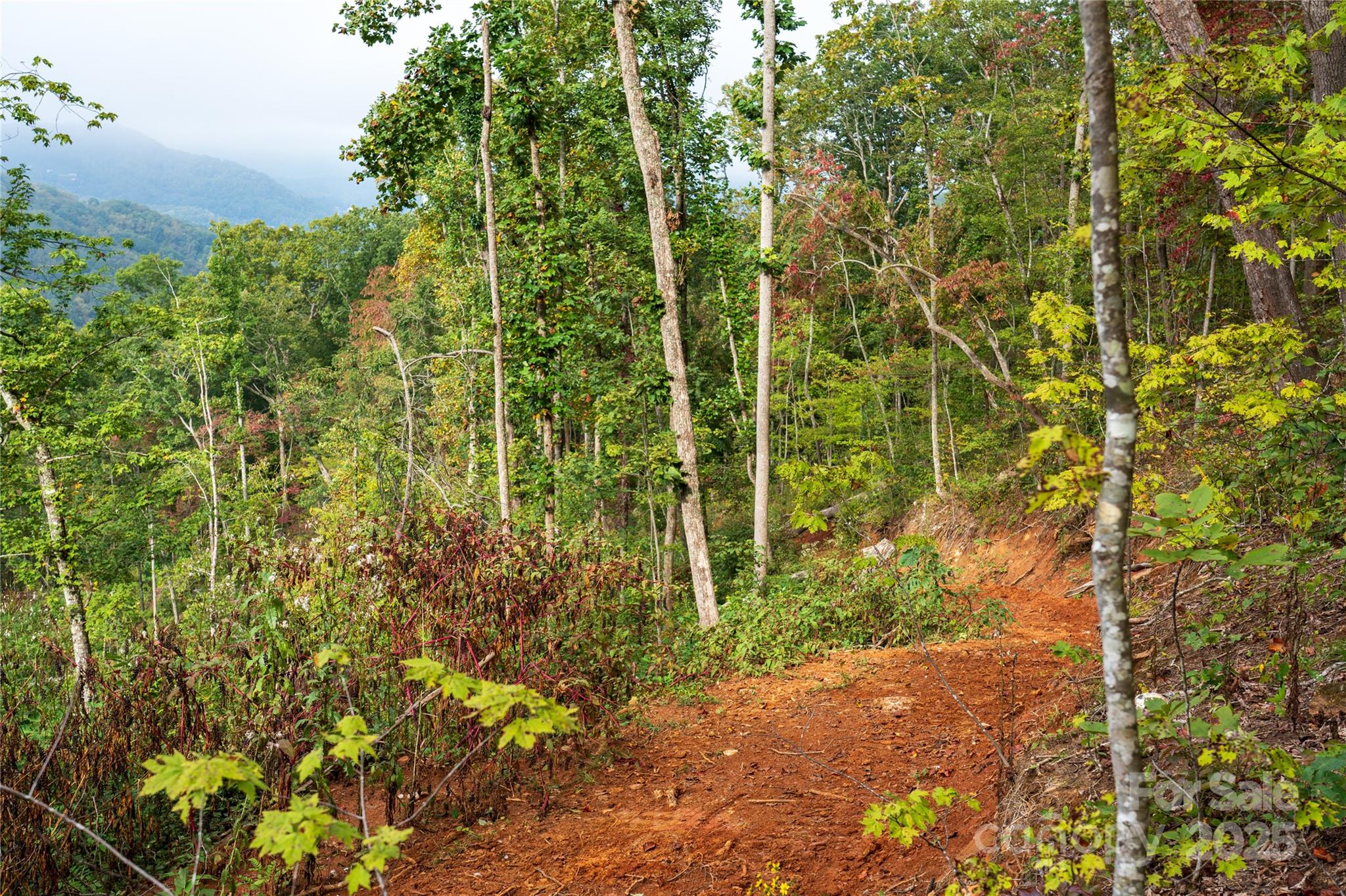 00 E Cope Creek Road Property Photo 23