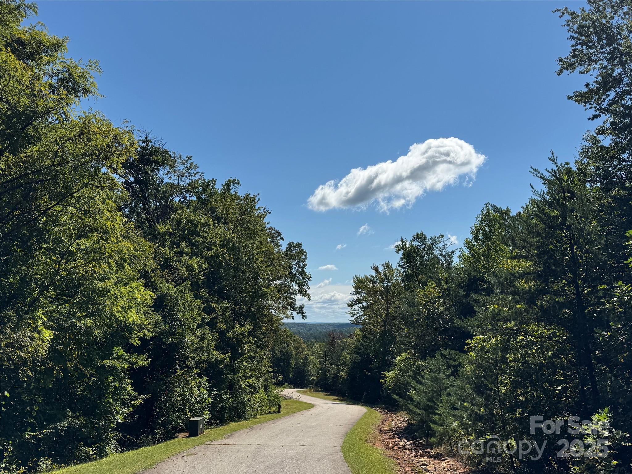 0 Bear Cliff Way 60 Property Photo 1