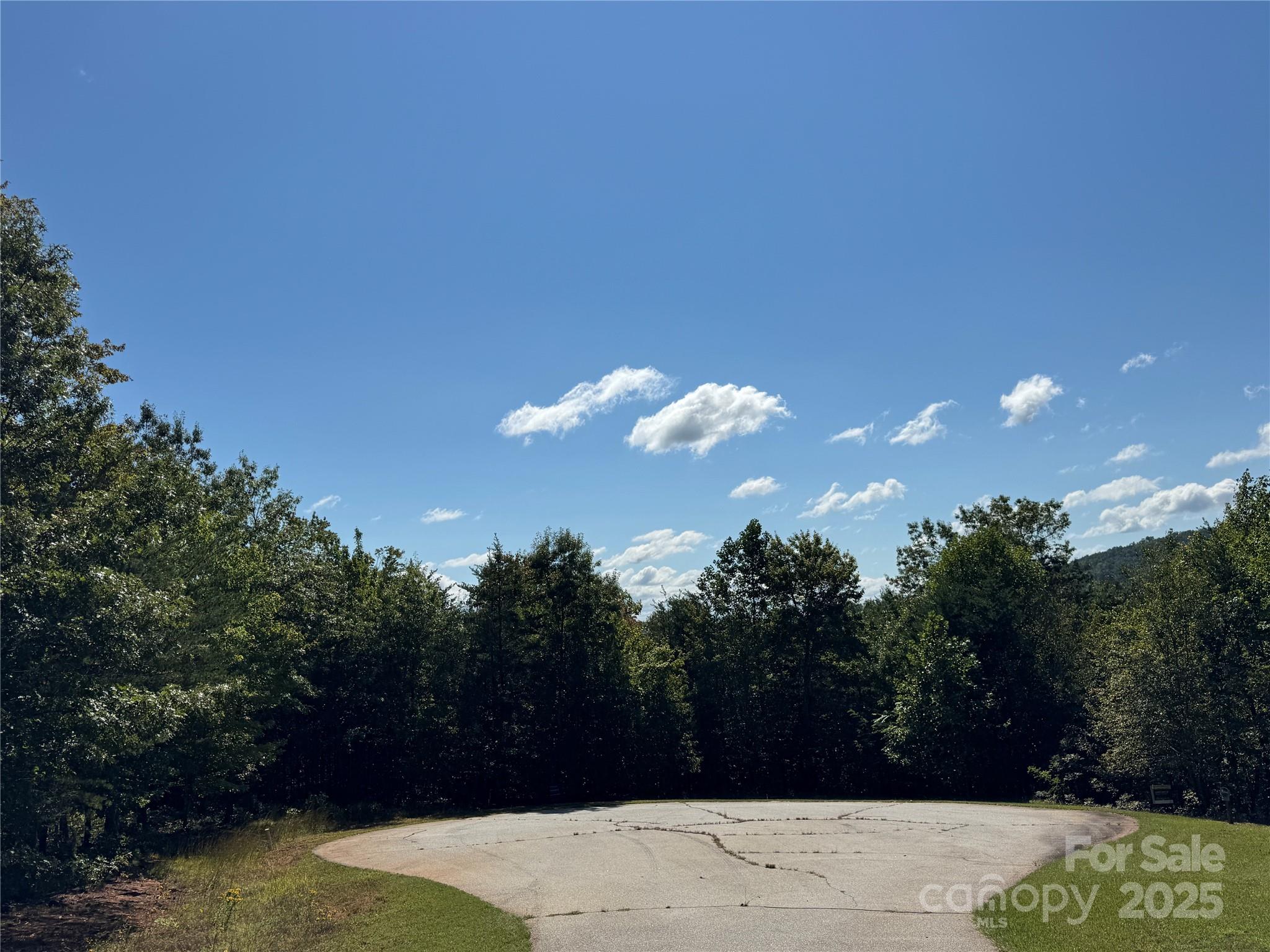 0 Bear Cliff Way 60 Property Photo 2