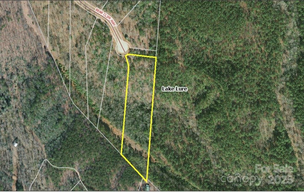 0 Bear Cliff Way 60 Property Photo 3