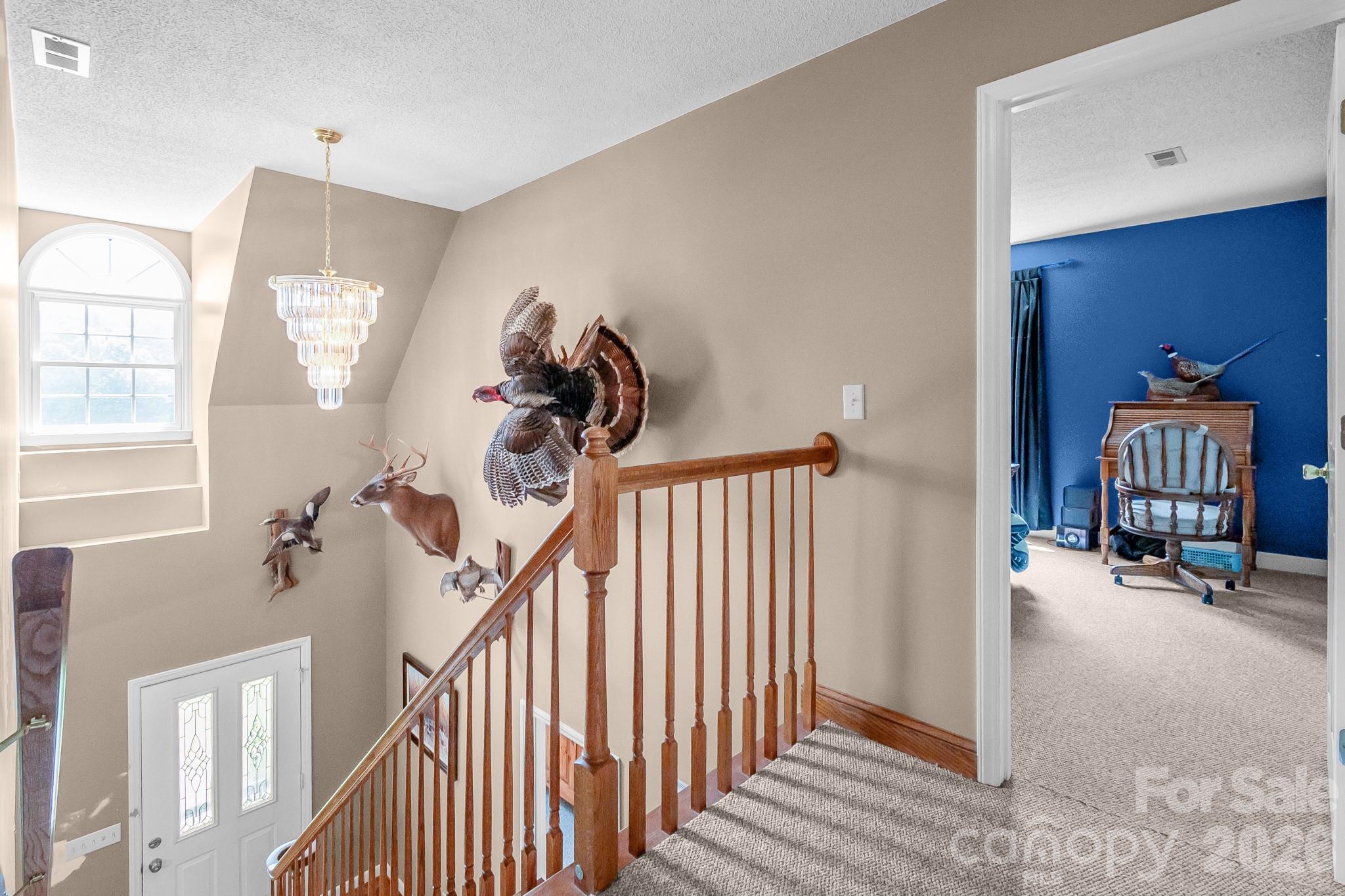 176 Griffin Road Property Photo 34
