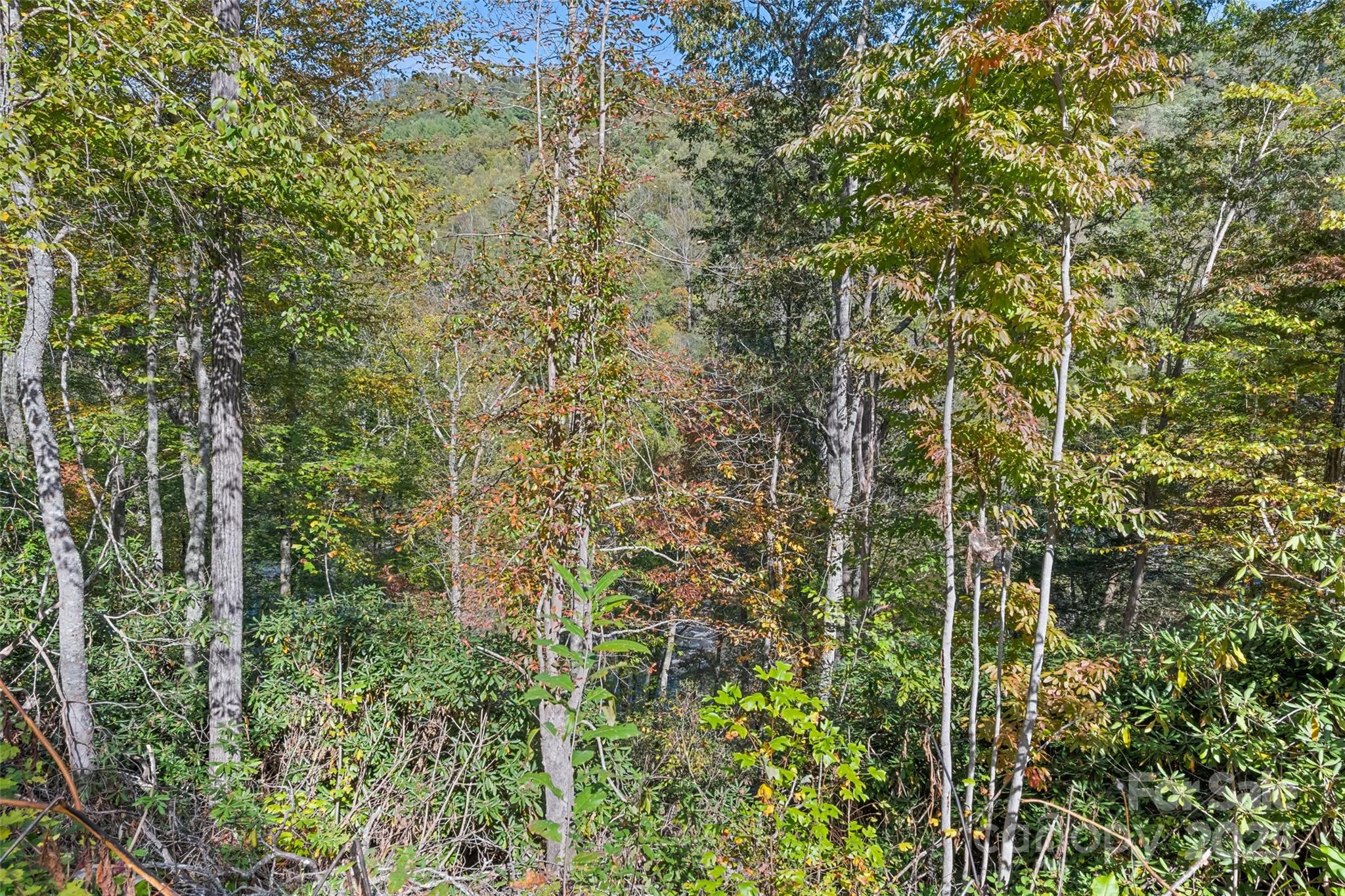 16 Harleys Cove 16 Property Photo 17