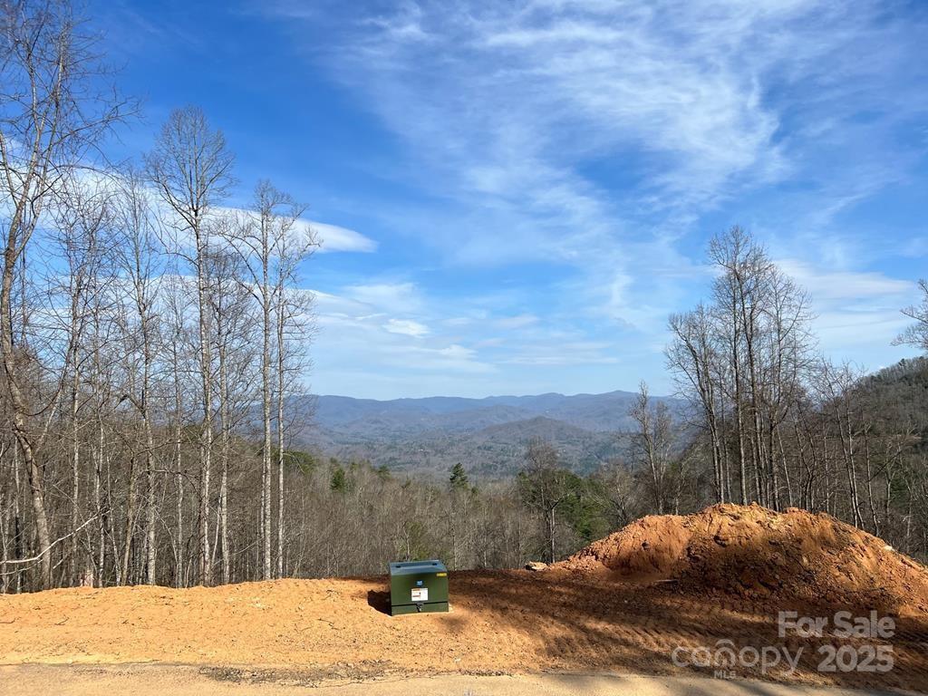 44 Bee Gum Ridge 44 Property Photo 1