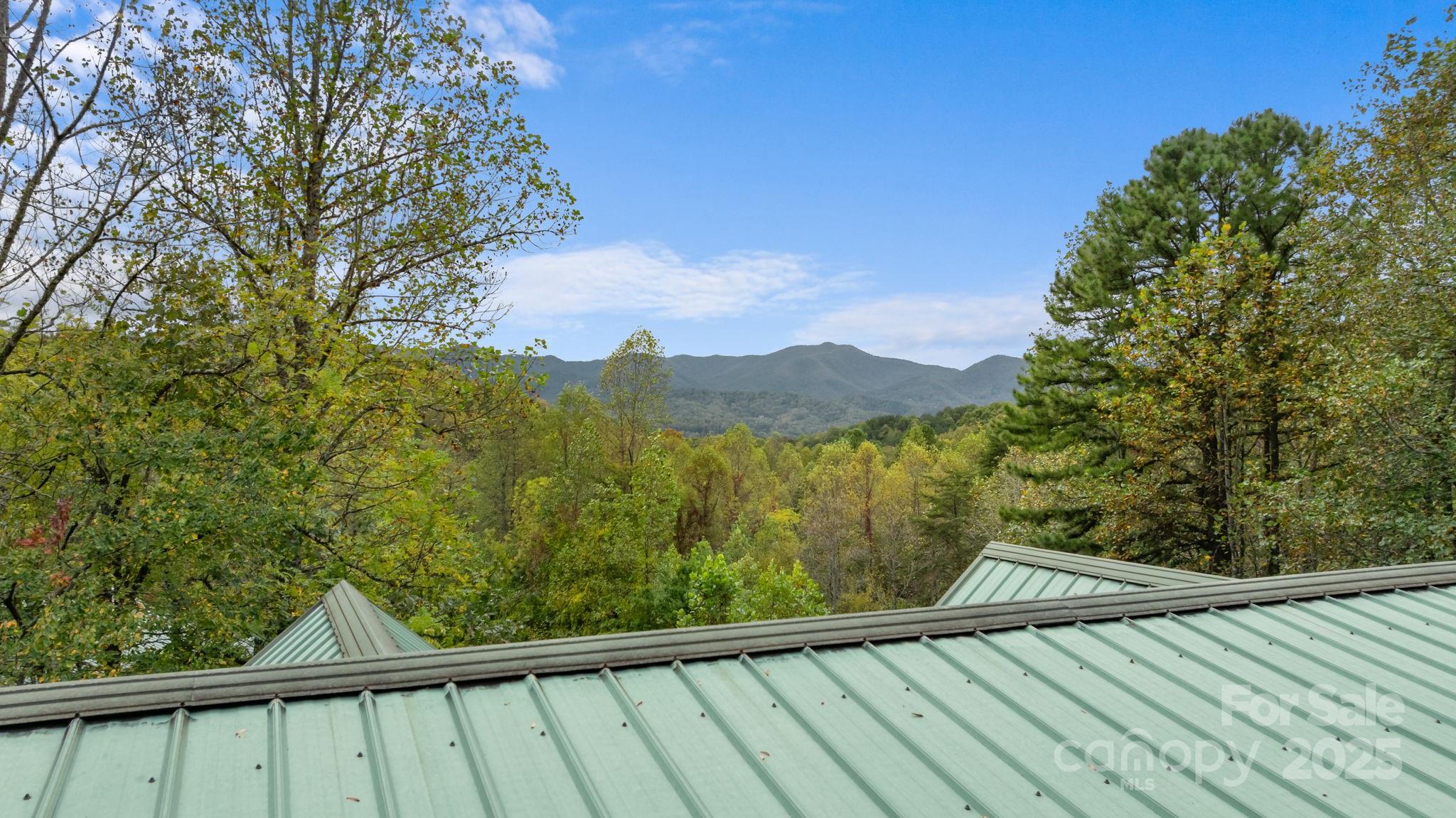 80 Slow Lane Property Photo 43