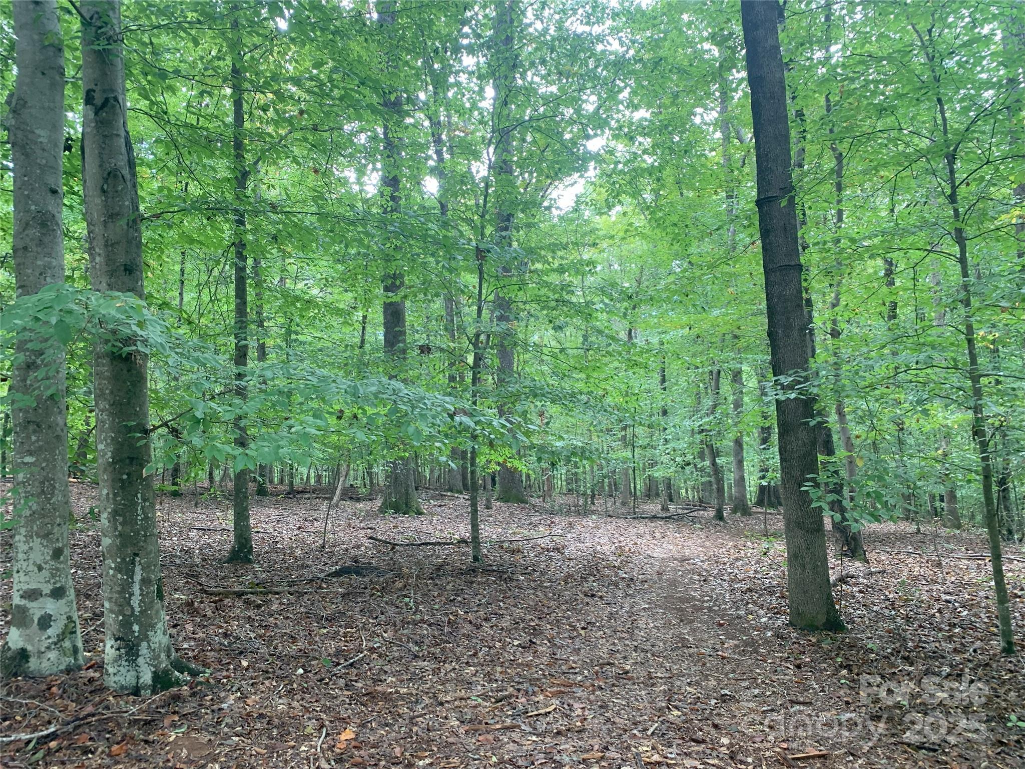 0 Fawn Lane Property Photo 3