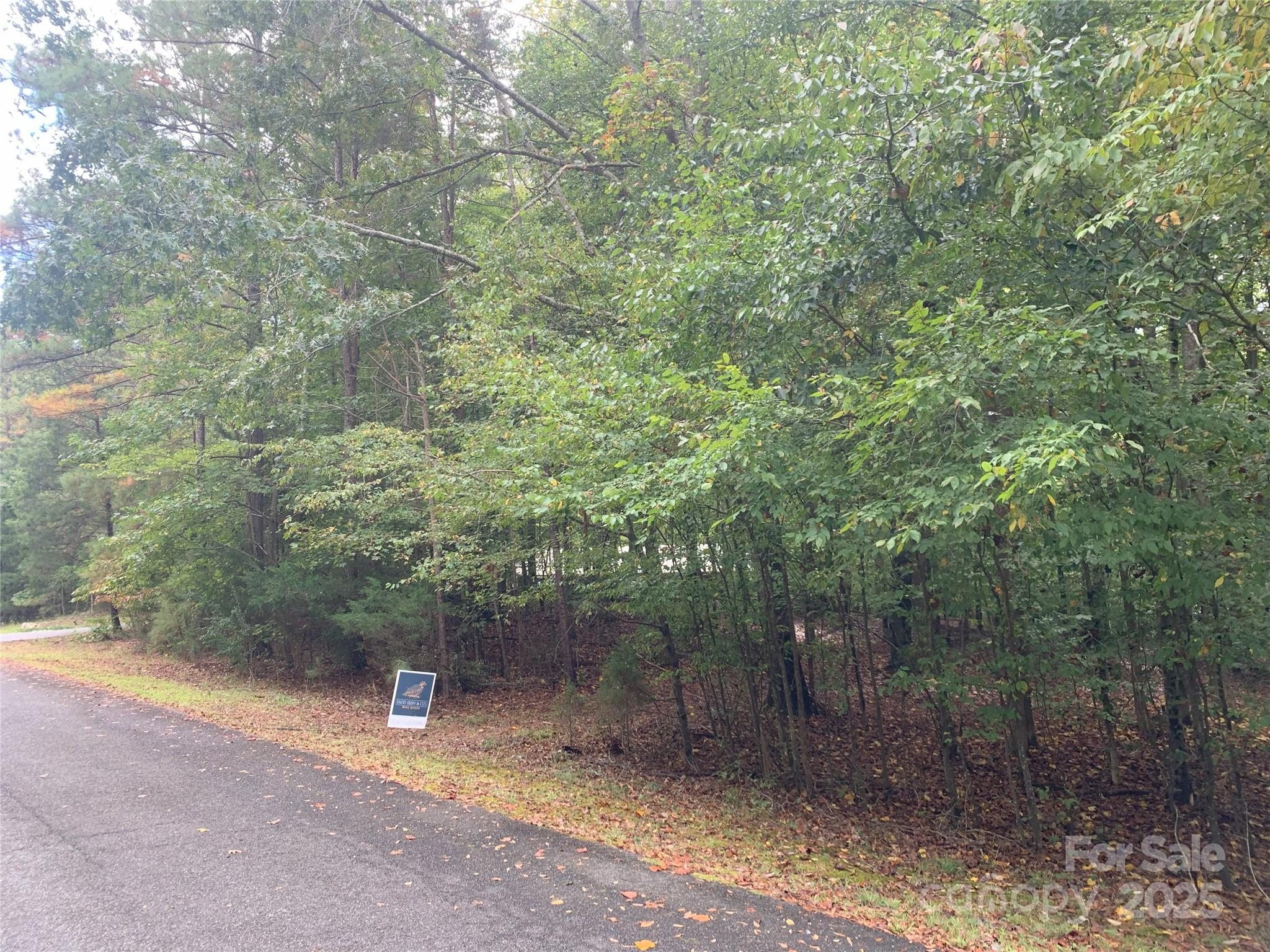 0 Fawn Lane Property Photo 7