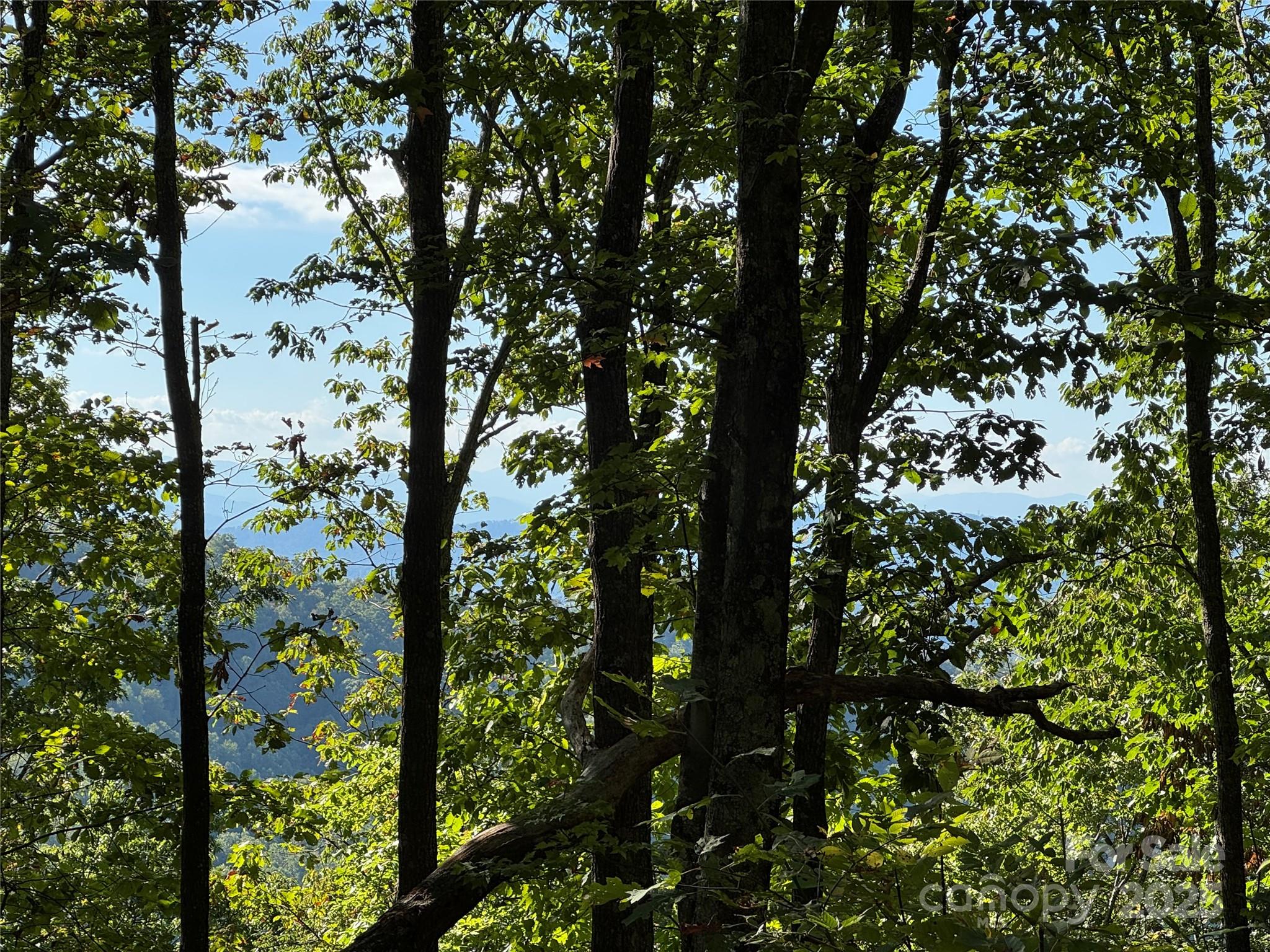 400 High Hickory Trail 25 Property Photo 1