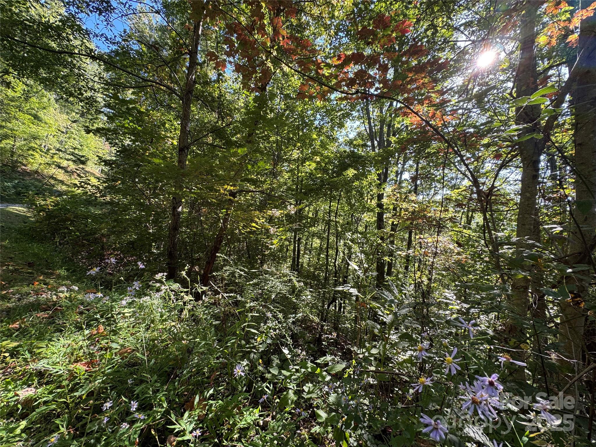 400 High Hickory Trail 25 Property Photo 3