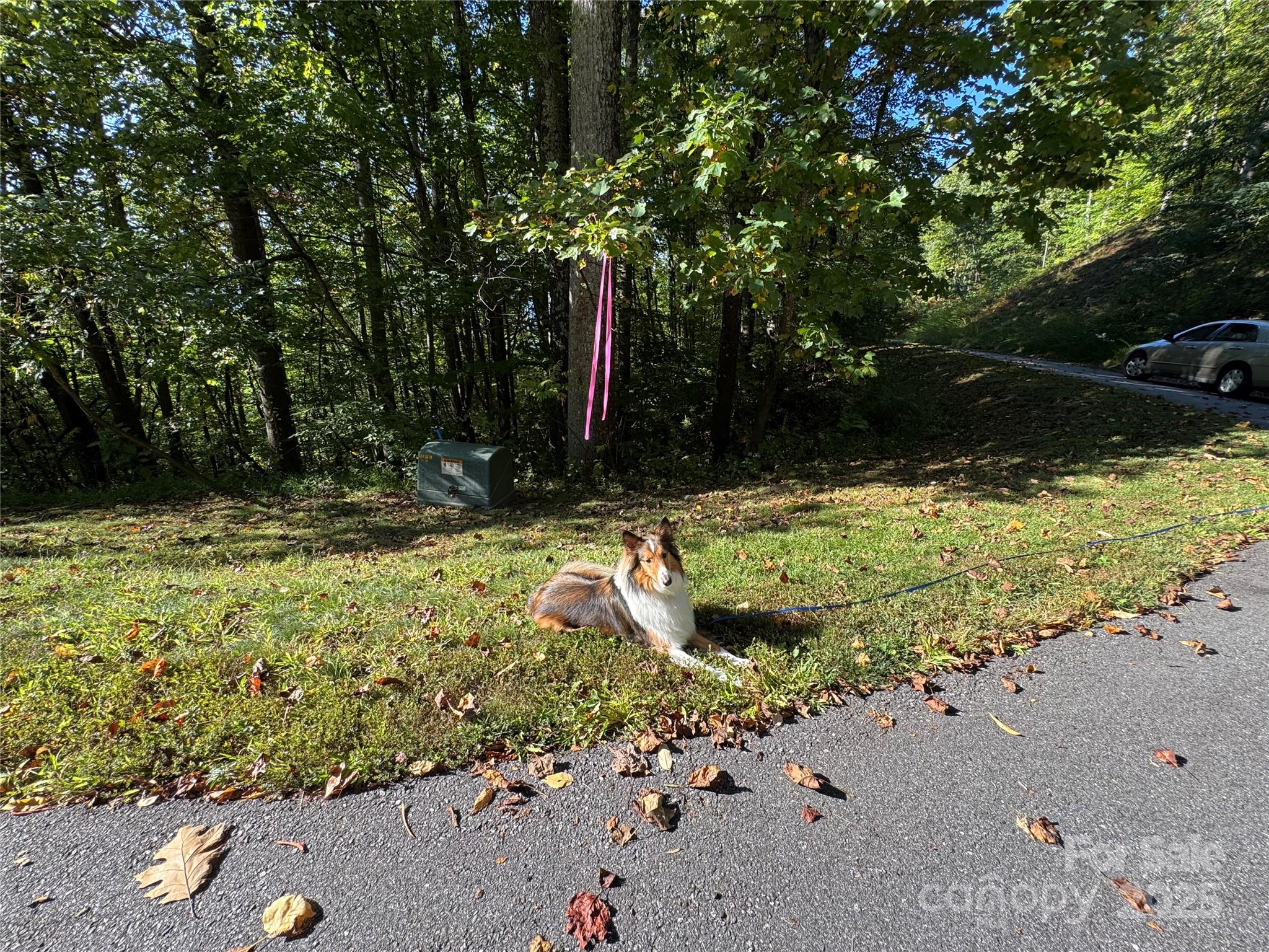 400 High Hickory Trail 25 Property Photo 4