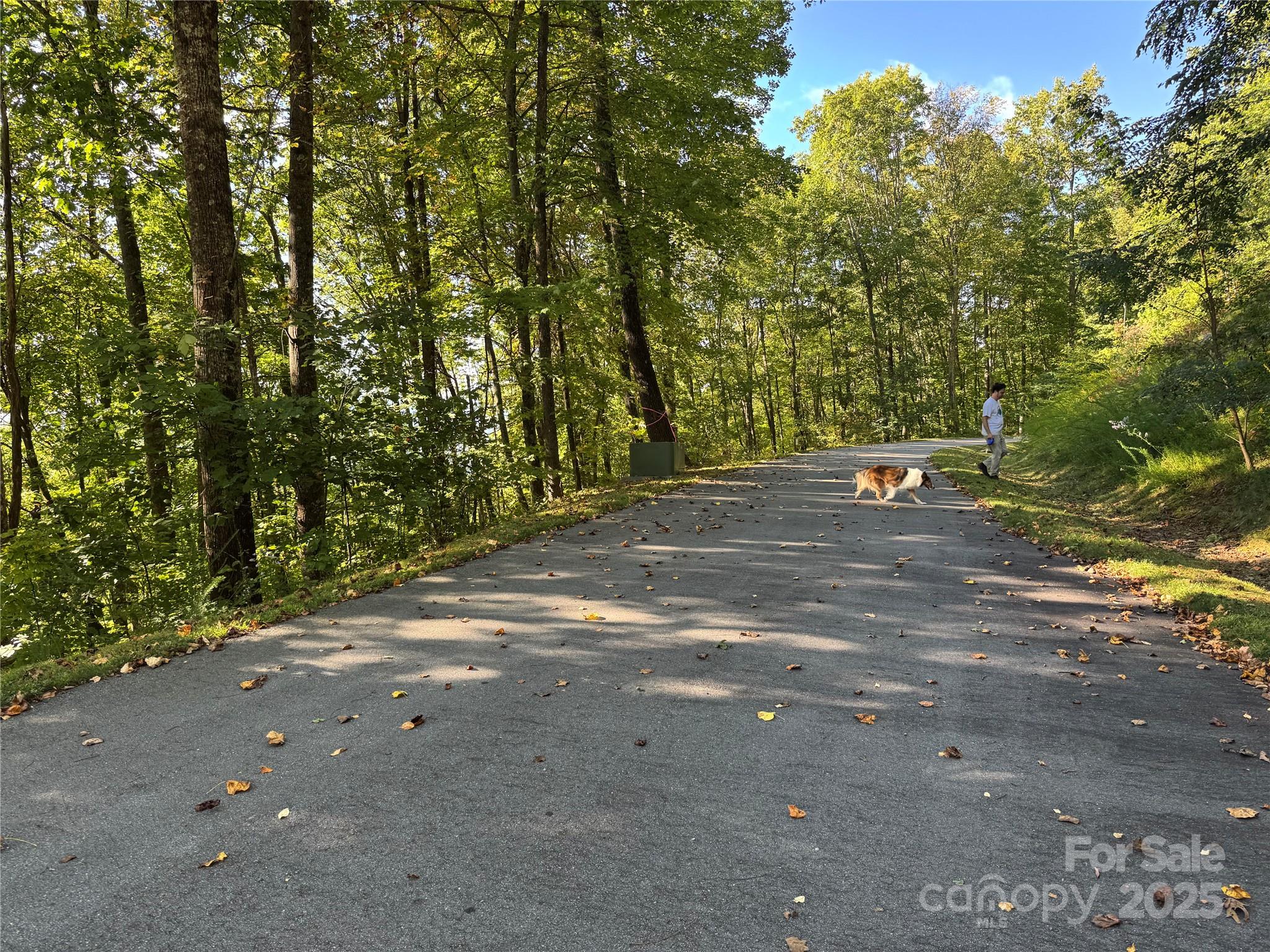 400 High Hickory Trail 25 Property Photo 5