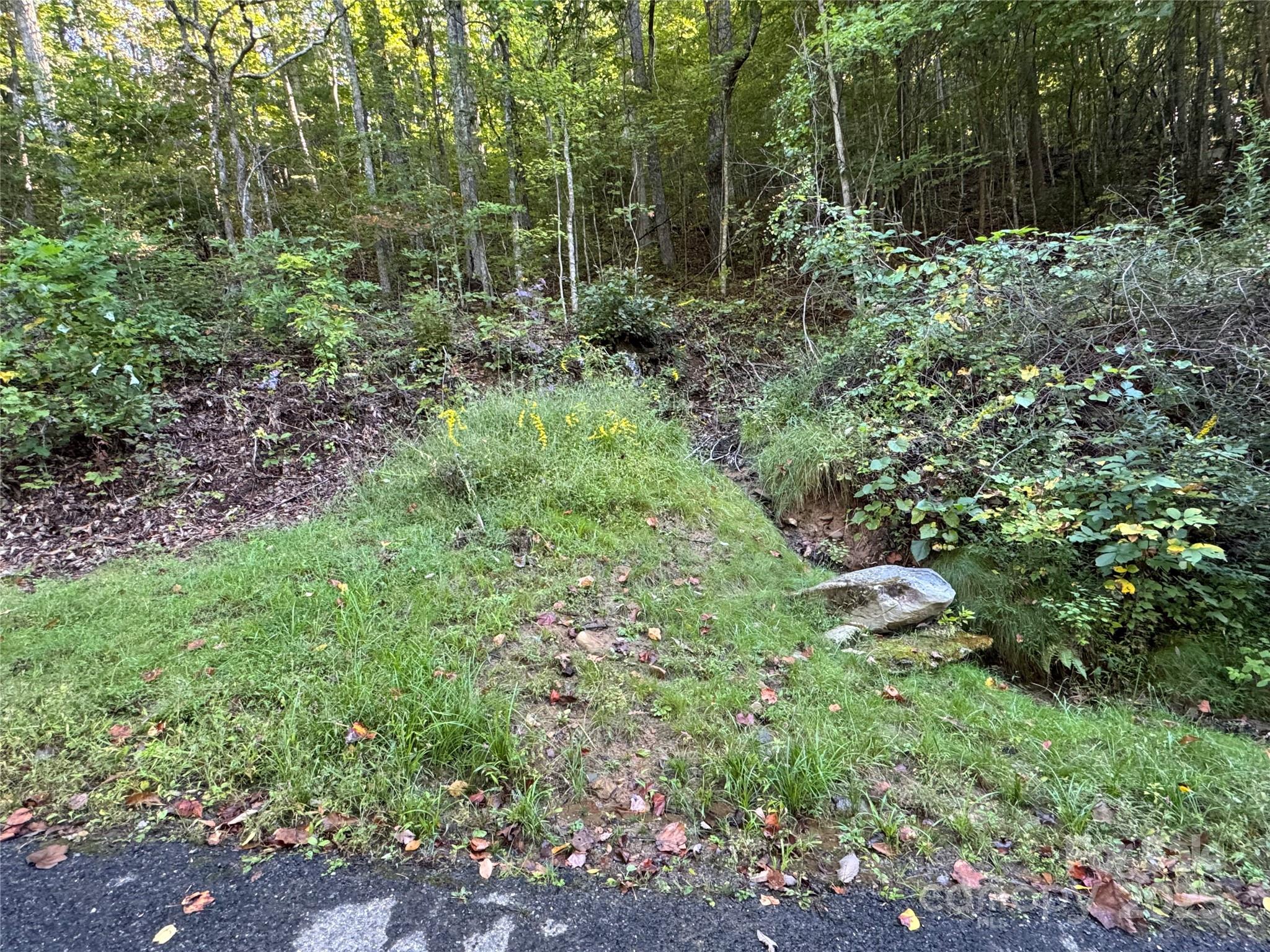 999 Red Oak Forest Road Property Photo 1