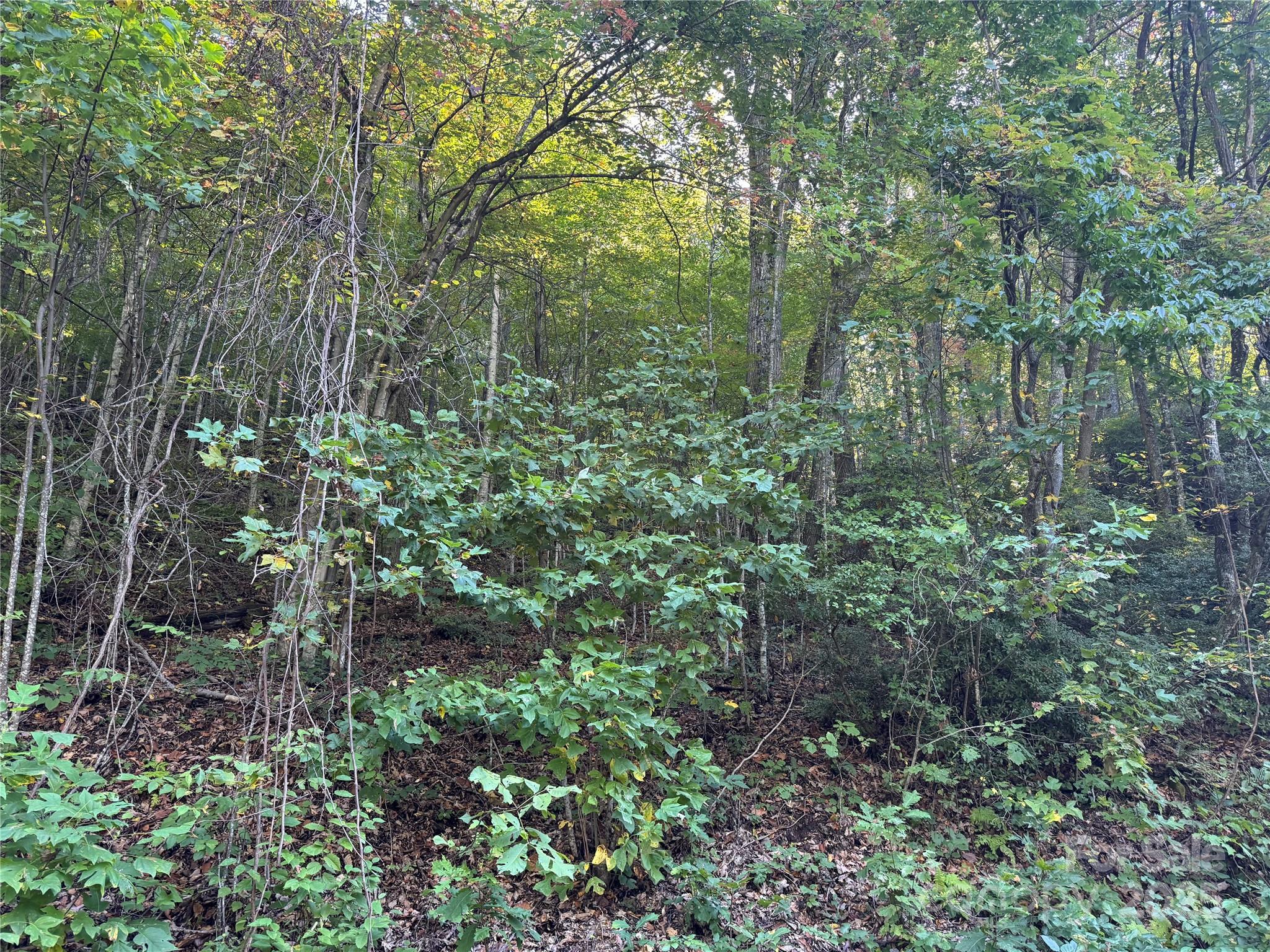 999 Red Oak Forest Road Property Photo 2