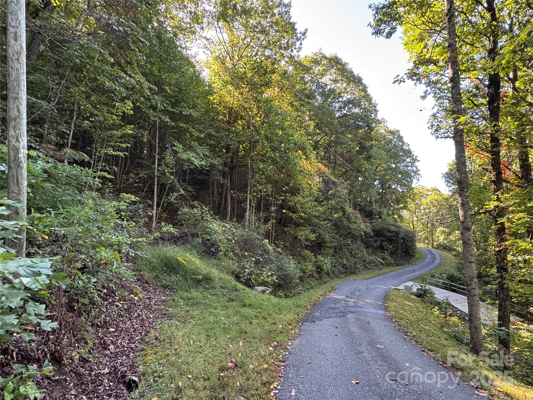 999 Red Oak Forest Road Property Photo 4
