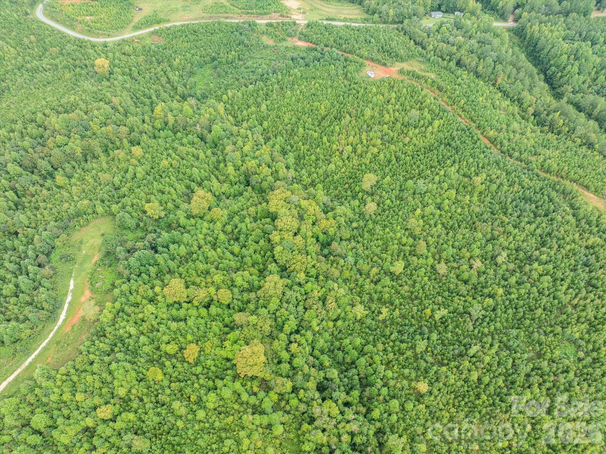 Tbd Pea Ridge Road Property Photo 4